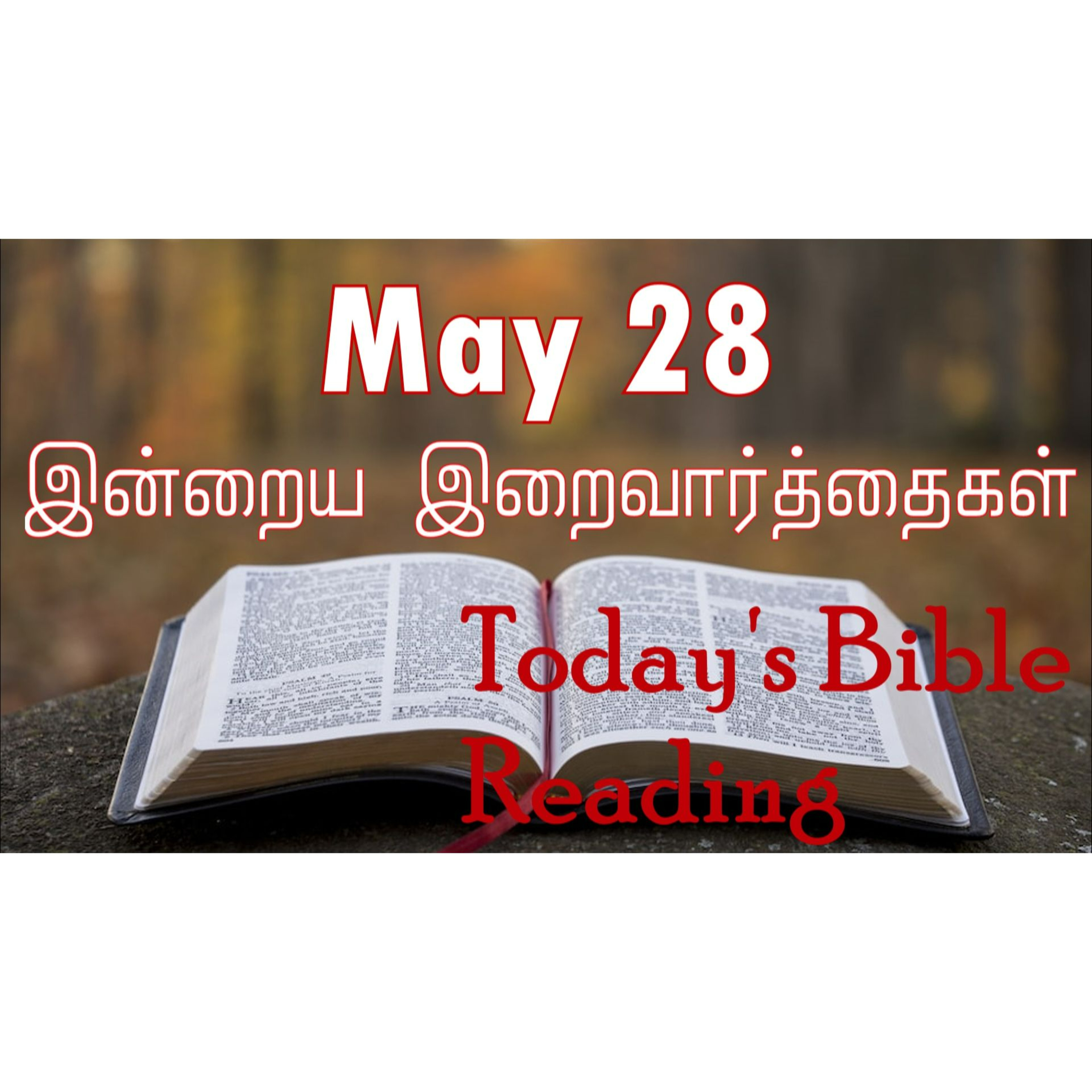 28 May 2024 | இன்றைய திருப்பலி வாசகங்கள் | Holy Mass Readings Tamil | Catholic | Daily Bible Reading Tamil episode artwork