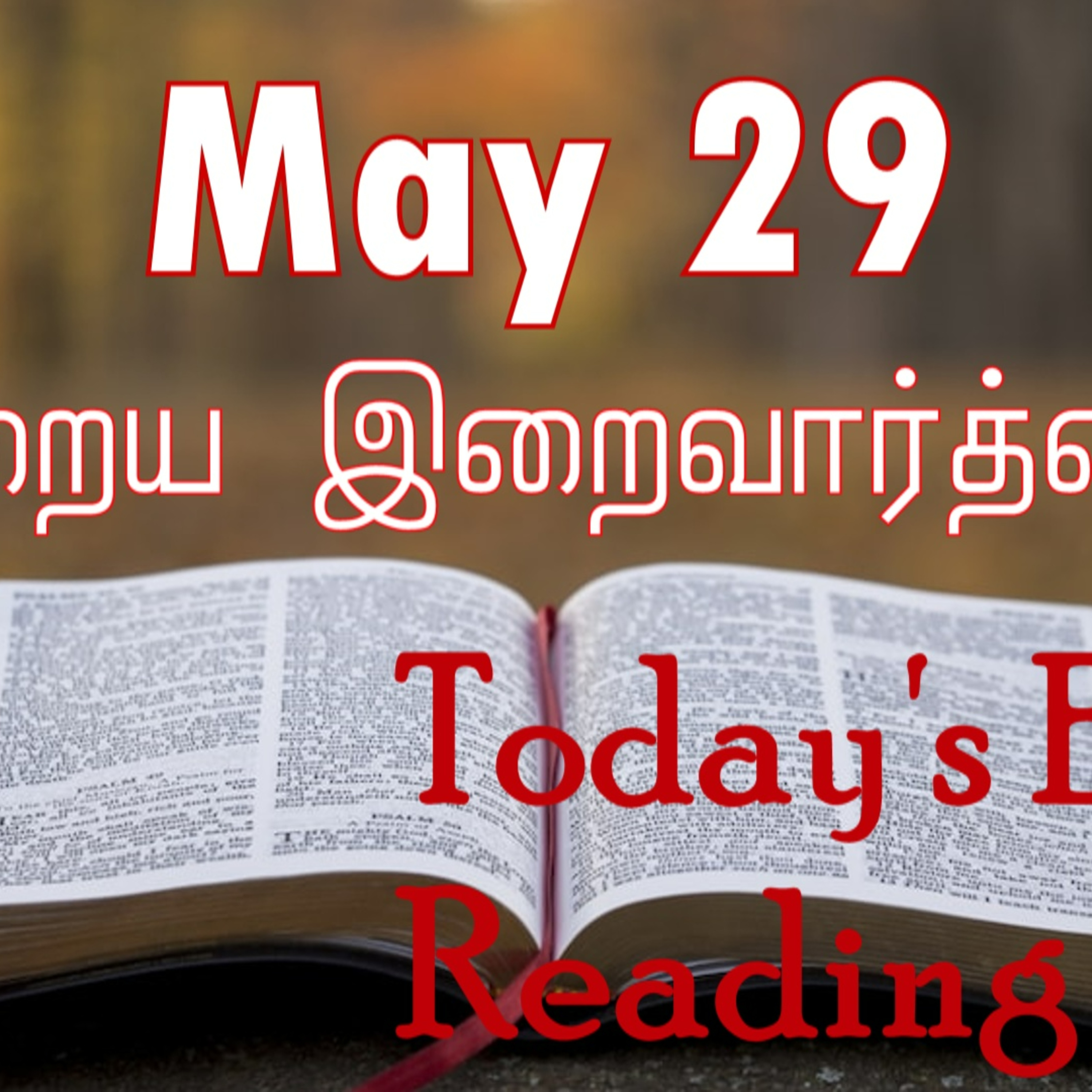 29 May 2024 | இன்றைய திருப்பலி வாசகங்கள் | Holy Mass Readings Tamil | Catholic | Daily Bible Reading Tamil episode artwork