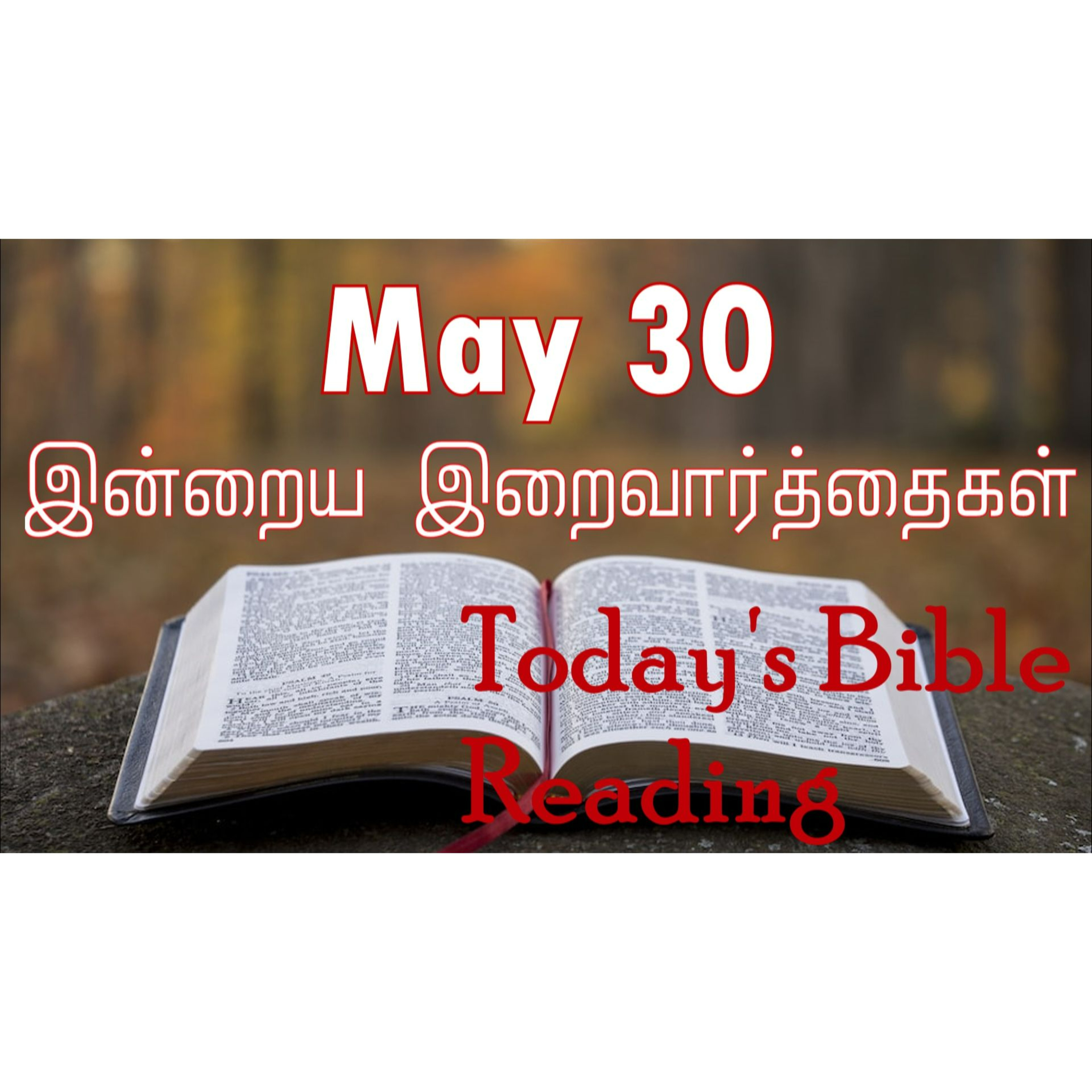 30 May 2024 | இன்றைய திருப்பலி வாசகங்கள் | Holy Mass Readings Tamil | Catholic | Daily Bible Reading Tamil  episode artwork