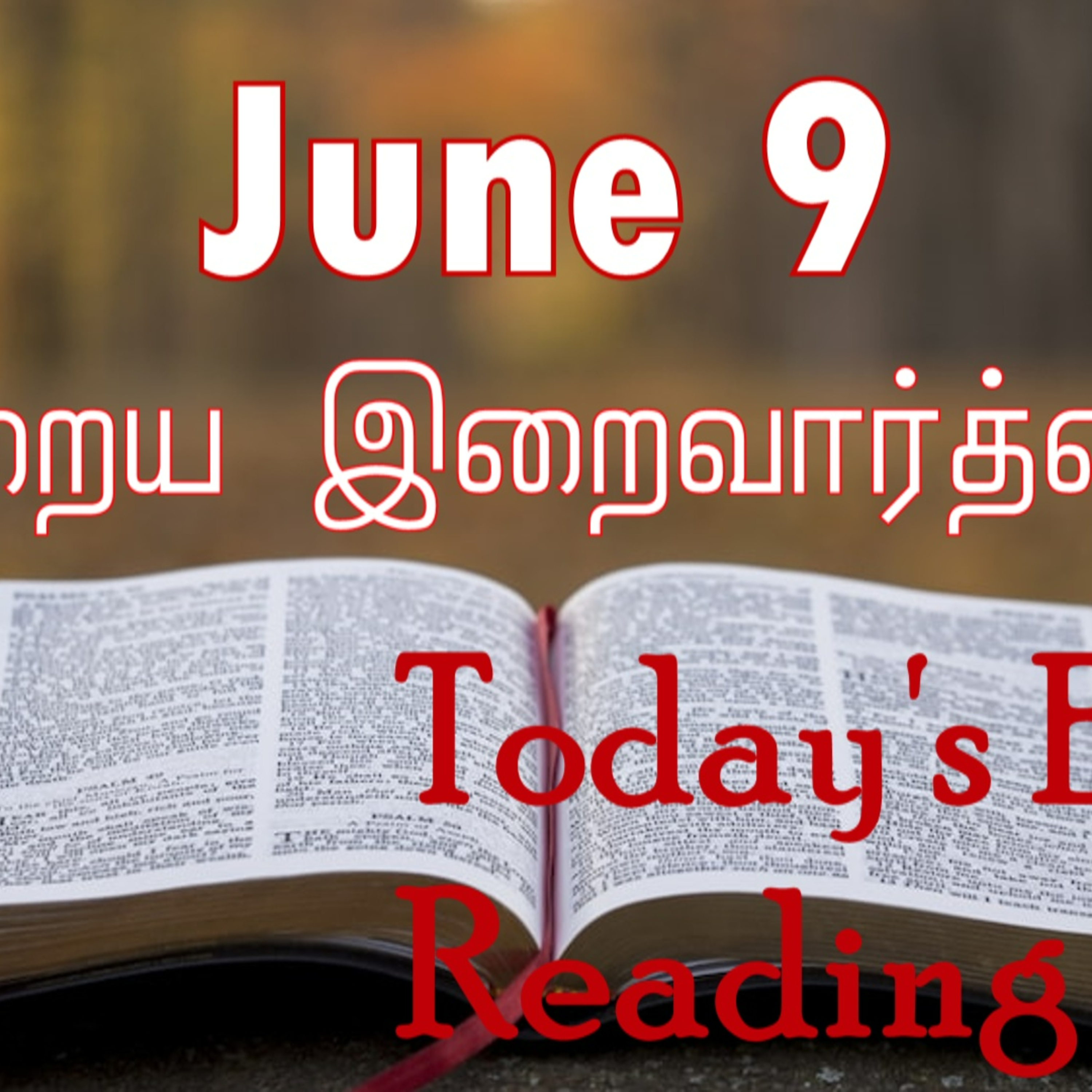 9 June 2024 | இன்றைய திருப்பலி வாசகங்கள் | Holy Mass Readings Tamil | Catholic | Daily Bible Reading Tamil episode artwork