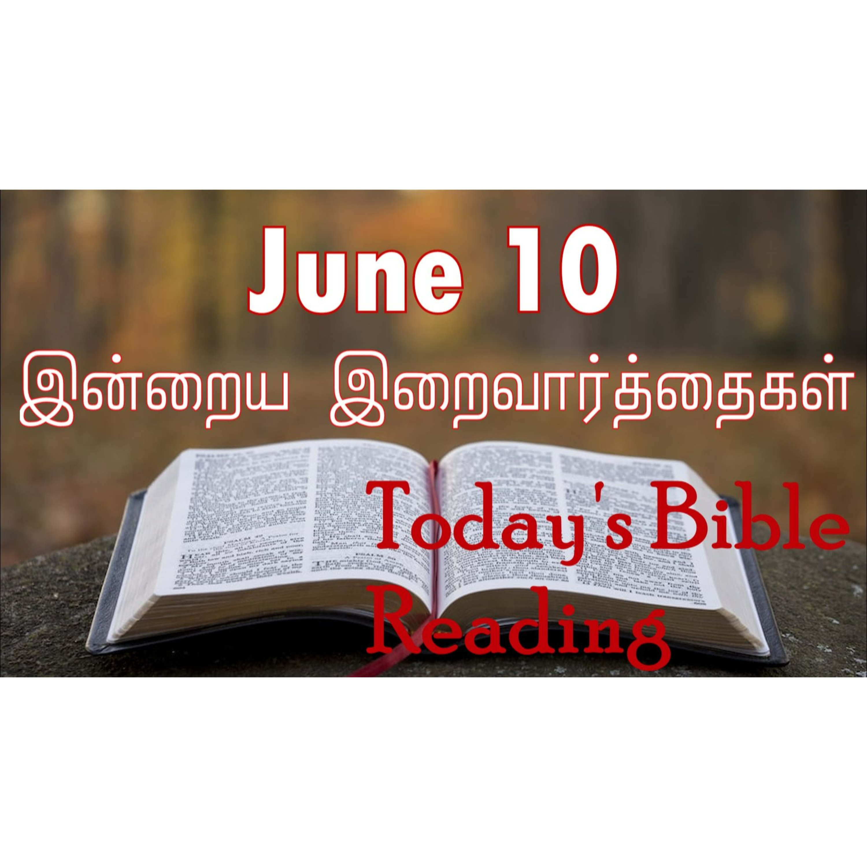 10 June 2024 | இன்றைய திருப்பலி வாசகங்கள் | Holy Mass Readings Tamil | Catholic | Daily Bible Reading Tamil episode artwork