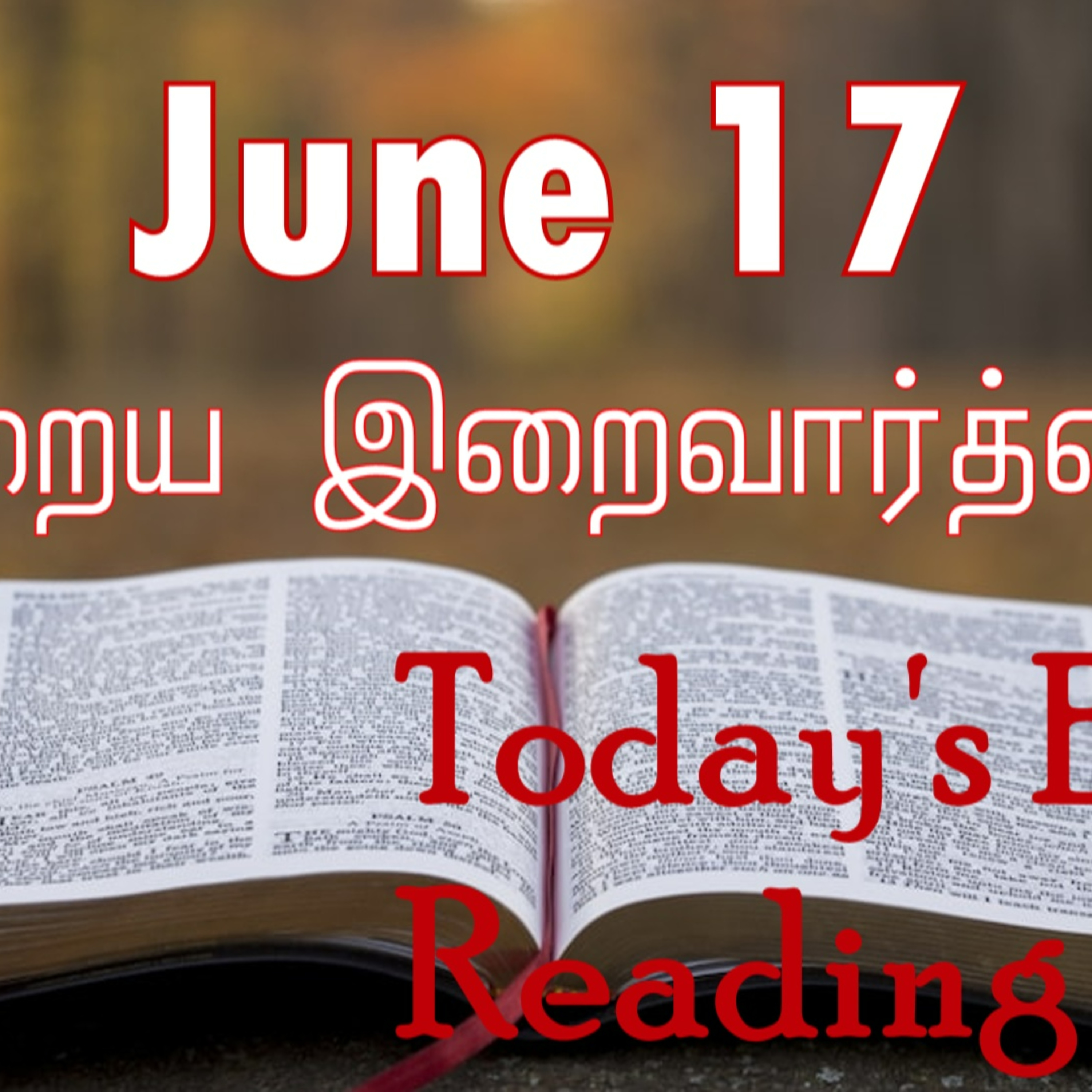 17 June 2024 | இன்றைய திருப்பலி வாசகங்கள் | Holy Mass Readings Tamil | Catholic | Daily Bible Reading Tamil  episode artwork