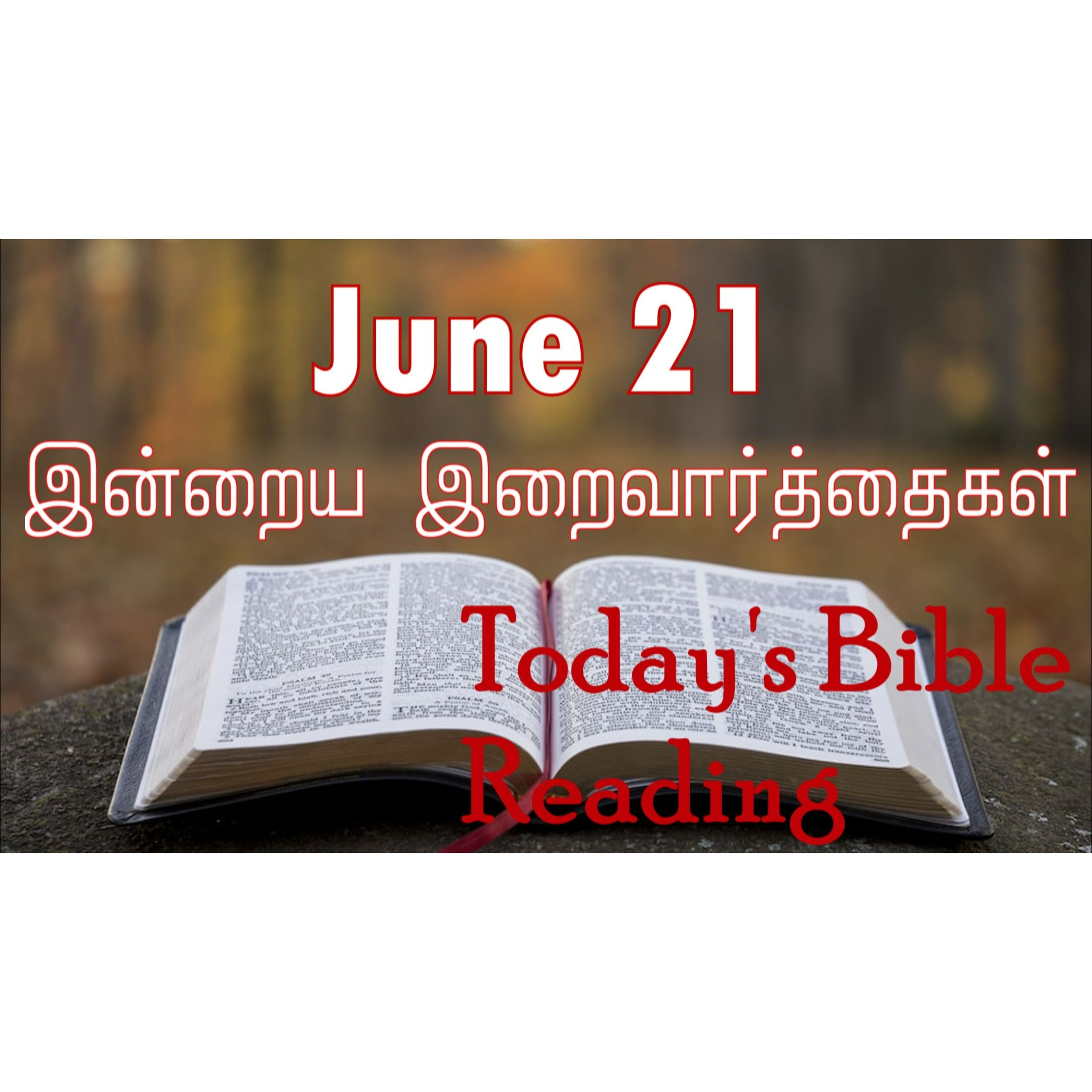 21 June 2024 | இன்றைய திருப்பலி வாசகங்கள் | Holy Mass Readings Tamil | Catholic | Daily Bible Reading Tamil  episode artwork