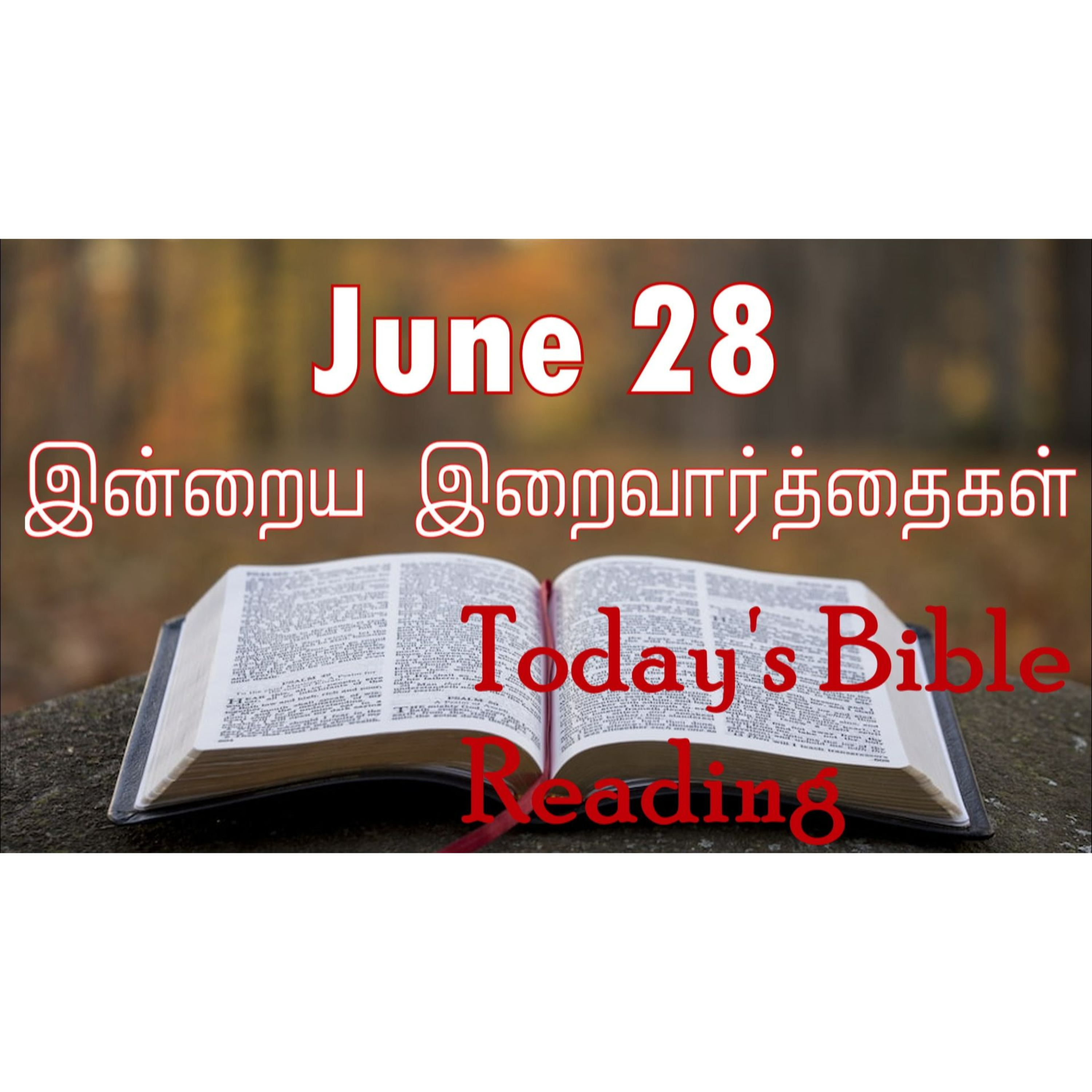 28 June 2024 | இன்றைய திருப்பலி வாசகங்கள் | Holy Mass Readings Tamil | Catholic | Daily Bible Reading Tamil episode artwork