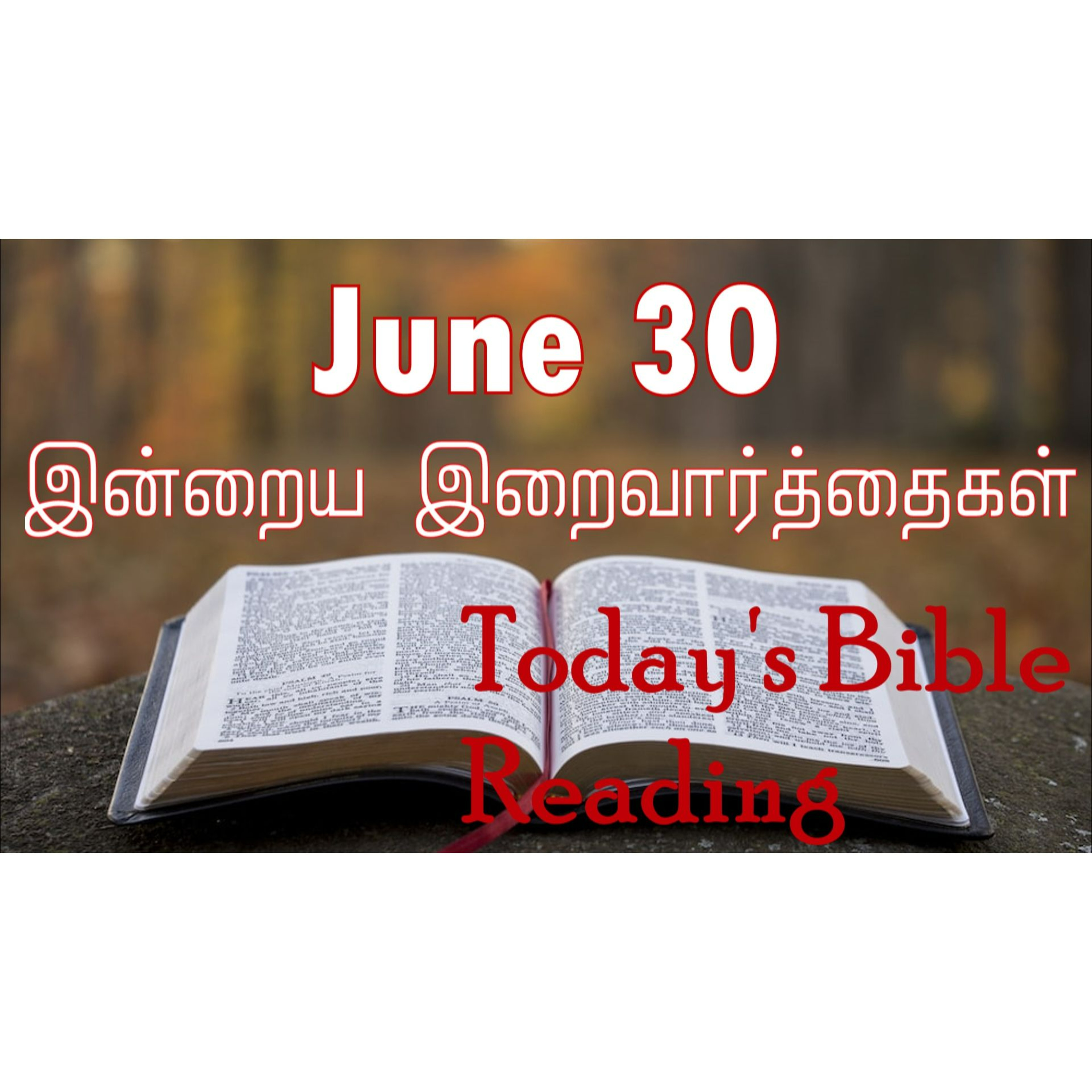 30 June 2024 | இன்றைய திருப்பலி வாசகங்கள் | Holy Mass Readings Tamil | Catholic | Daily Bible Reading Tamil episode artwork
