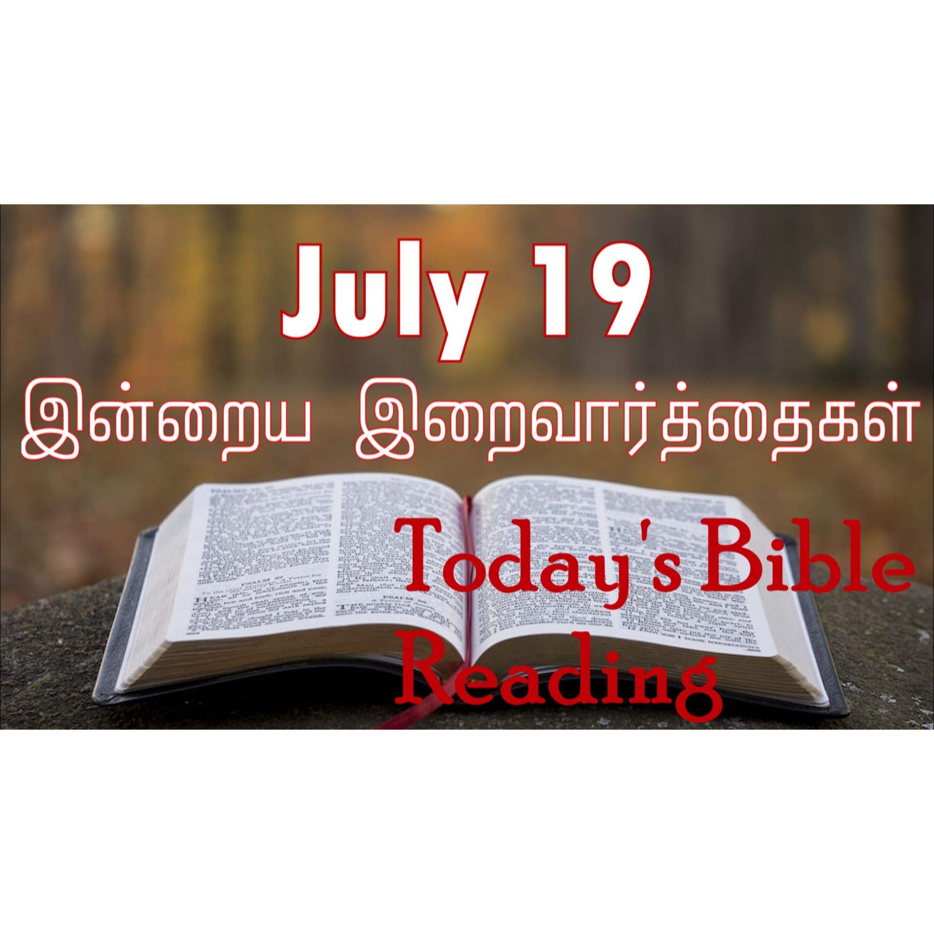 19 July 2024 | இன்றைய திருப்பலி வாசகங்கள் | Holy Mass Readings Tamil | Catholic | Daily Bible Reading Tamil episode artwork