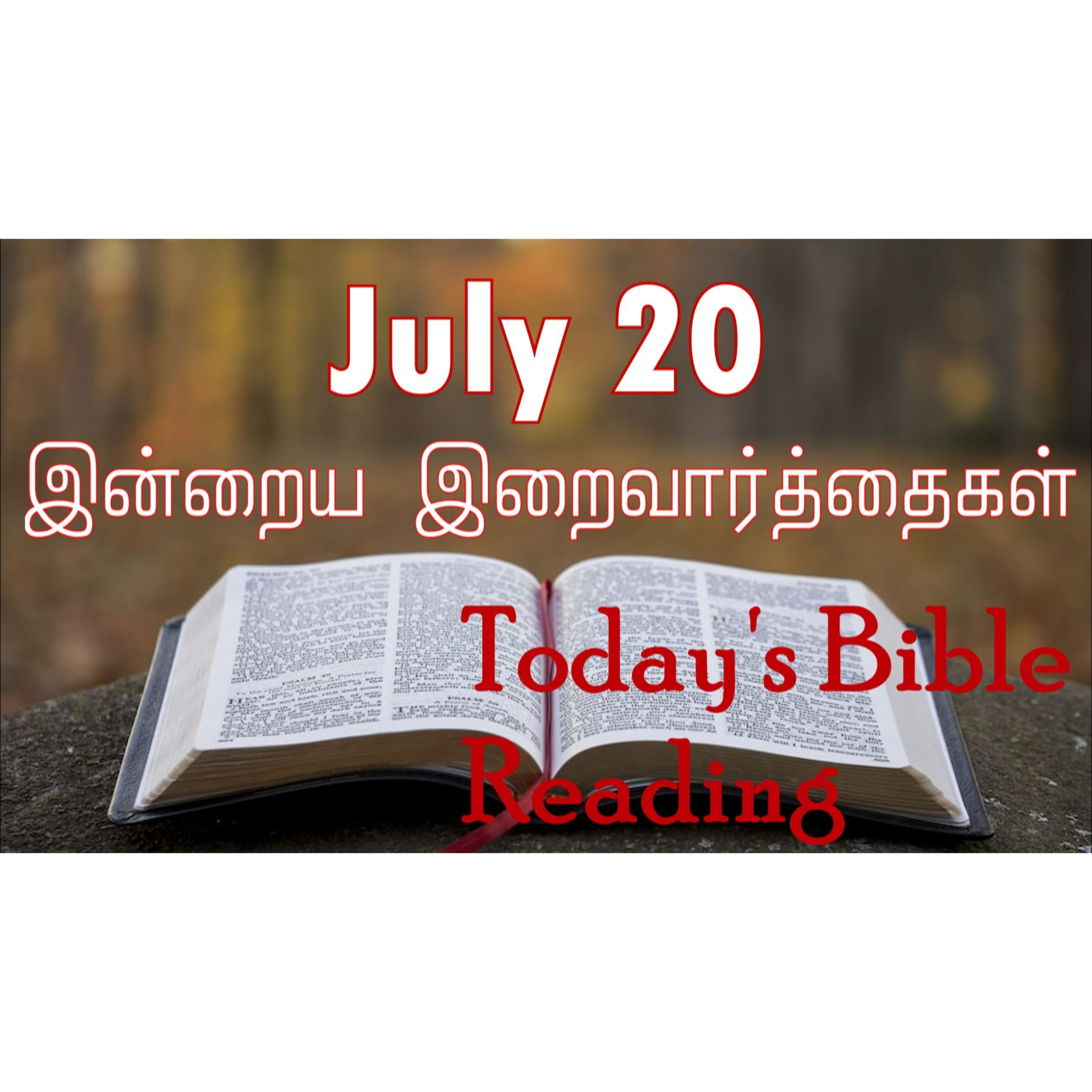20 July 2024 | இன்றைய திருப்பலி வாசகங்கள் | Holy Mass Readings Tamil | Catholic | Daily Bible Reading Tamil episode artwork