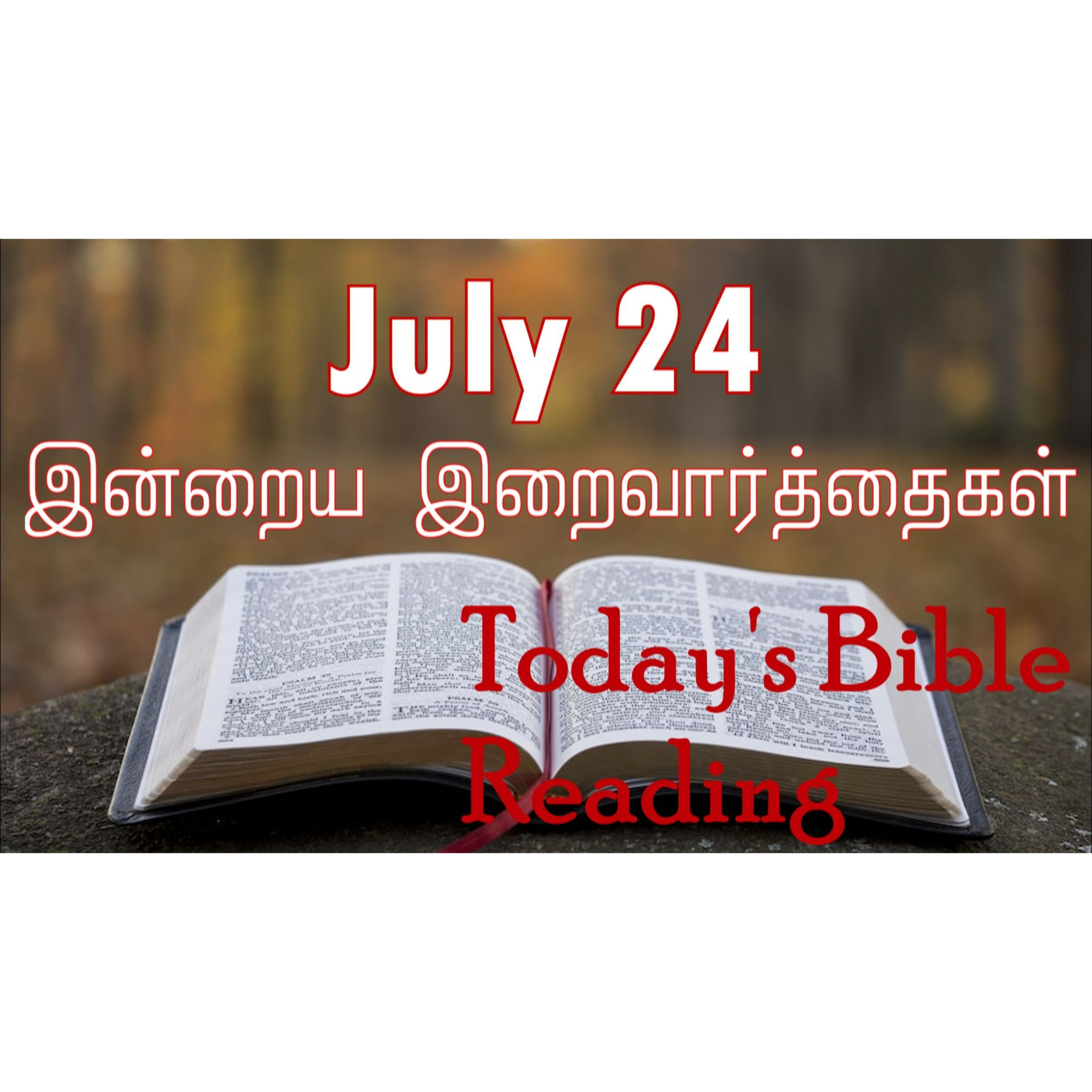 24 July 2024 | இன்றைய திருப்பலி வாசகங்கள் | Holy Mass Readings Tamil | Catholic | Daily Bible Reading Tamil  episode artwork