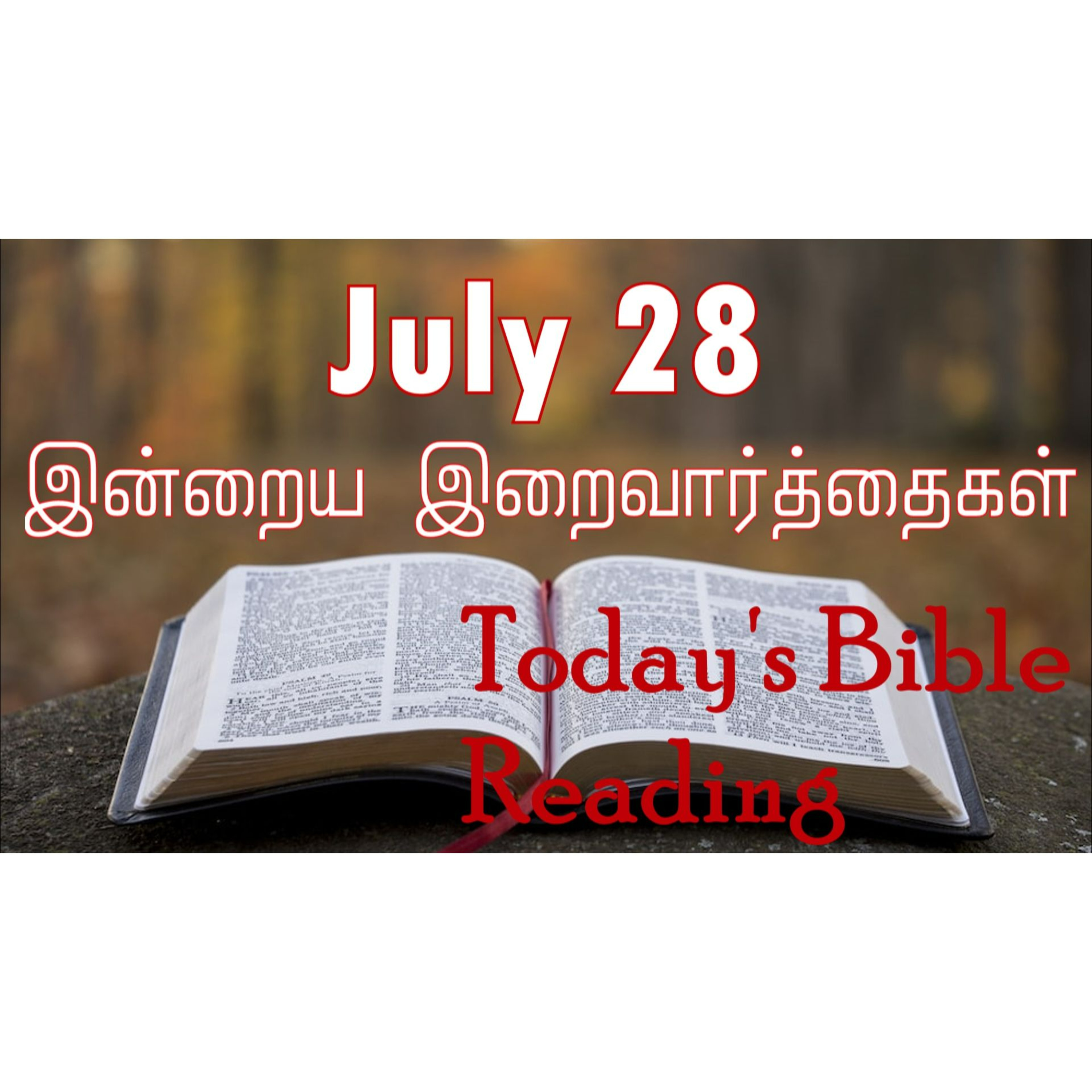 28 July 2024 | இன்றைய திருப்பலி வாசகங்கள் | Holy Mass Readings Tamil | Catholic | Daily Bible Reading Tamil episode artwork