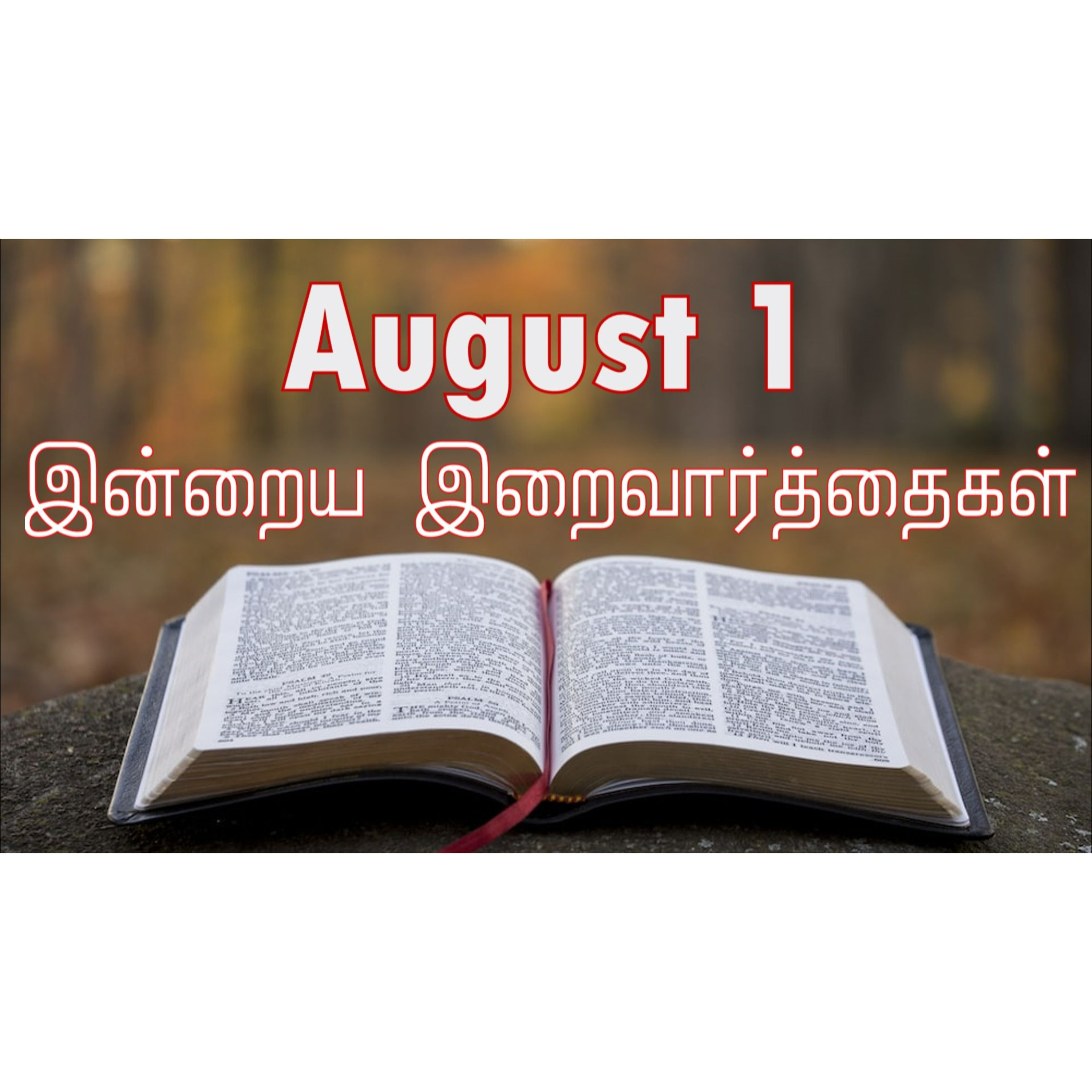1 August 2024 | இன்றைய திருப்பலி வாசகங்கள் | Holy Mass Readings Tamil | Catholic | Daily Bible Reading Tamil episode artwork