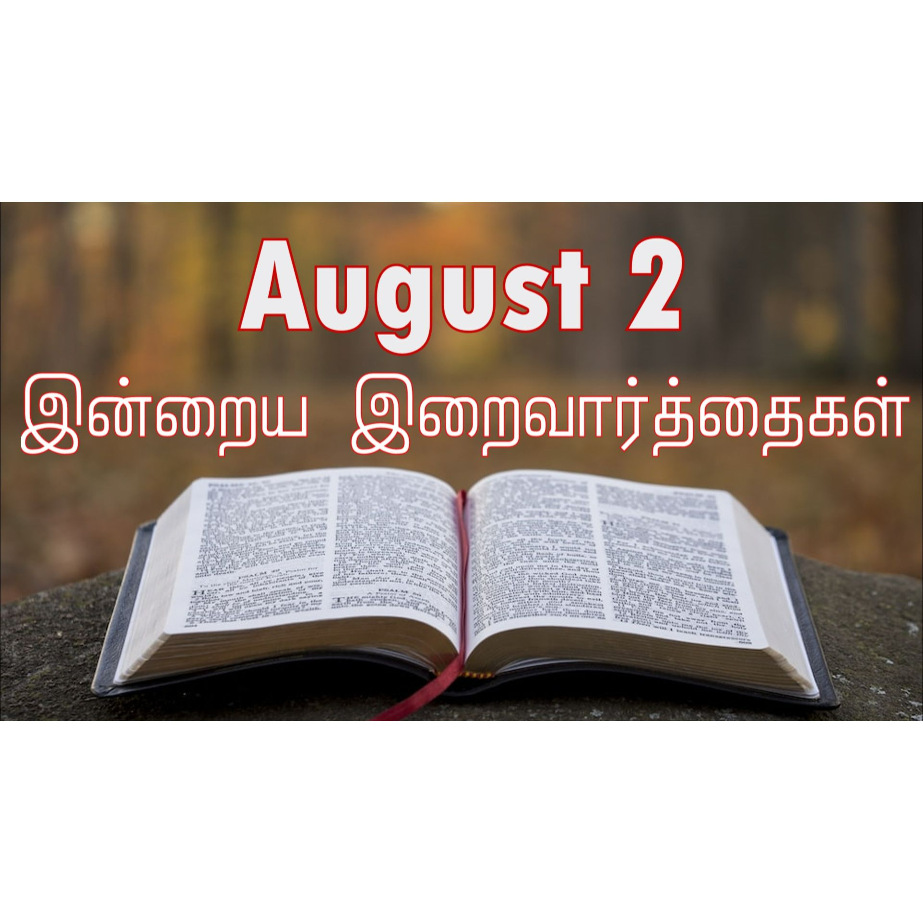 2 August 2024 | இன்றைய திருப்பலி வாசகங்கள் | Holy Mass Readings Tamil | Catholic | Daily Bible Reading Tamil episode artwork