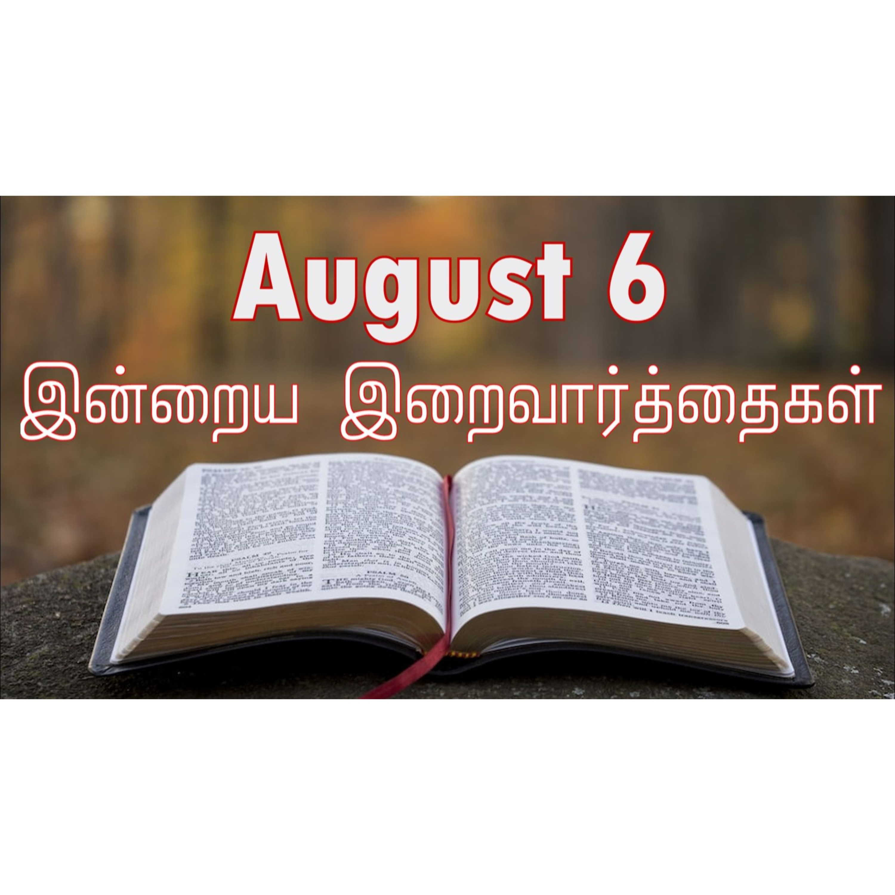 6 August 2024 | இன்றைய திருப்பலி வாசகங்கள் | Holy Mass Readings Tamil | Catholic | Daily Bible Reading Tamil episode artwork