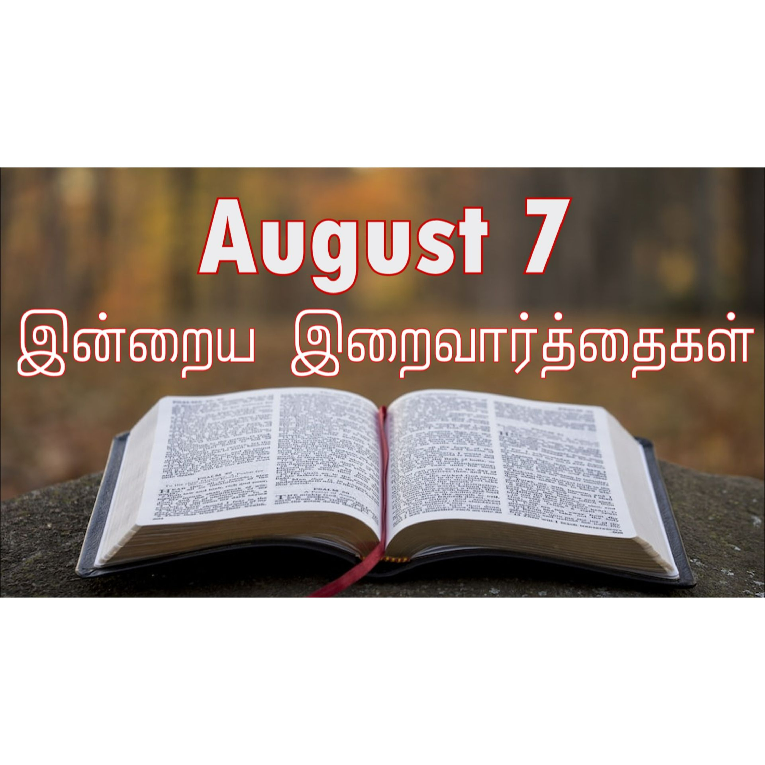 7 August 2024 | இன்றைய திருப்பலி வாசகங்கள் | Holy Mass Readings Tamil | Catholic | Daily Bible Reading Tamil episode artwork