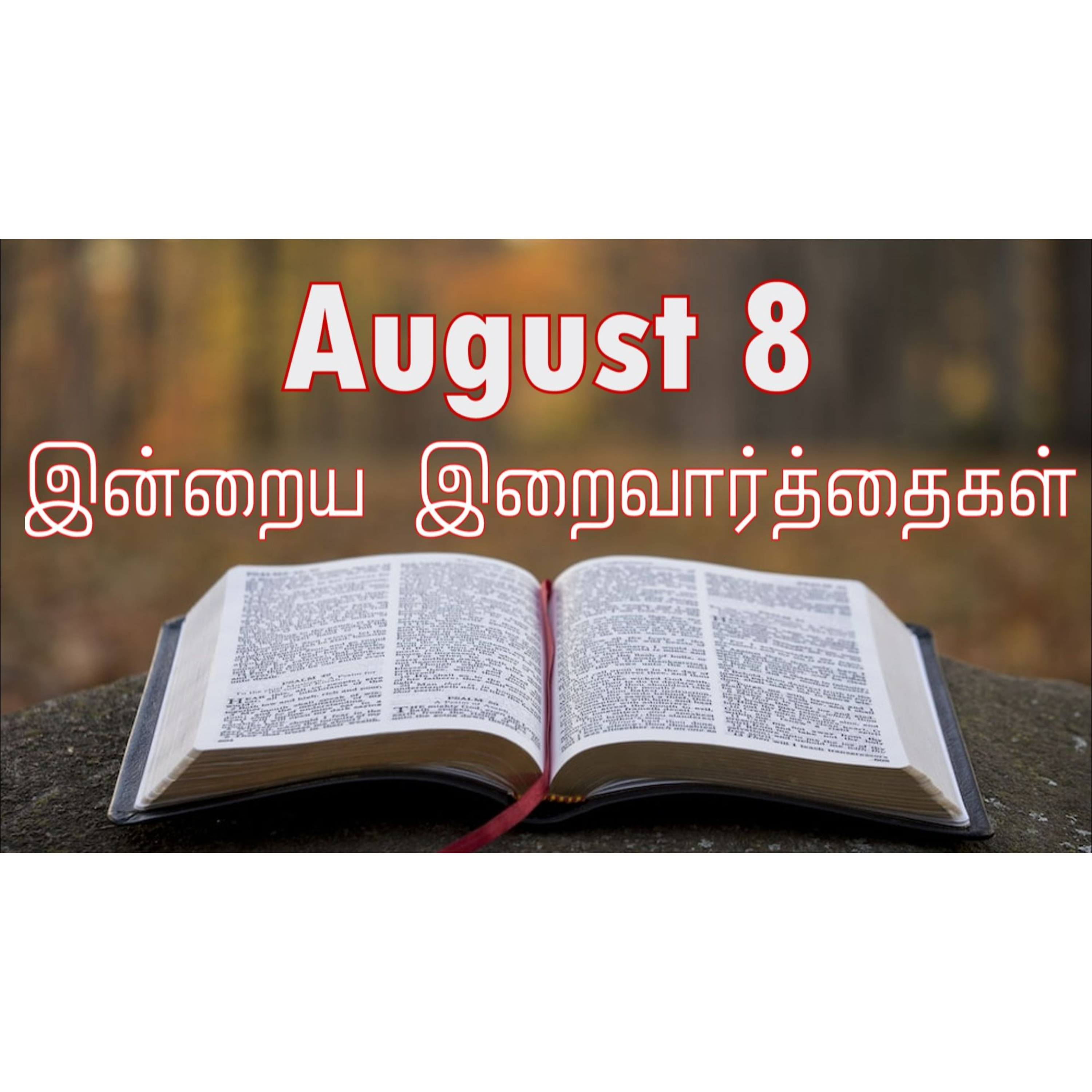 8 August 2024 | இன்றைய திருப்பலி வாசகங்கள் | Holy Mass Readings Tamil | Catholic | Daily Bible Reading Tamil episode artwork
