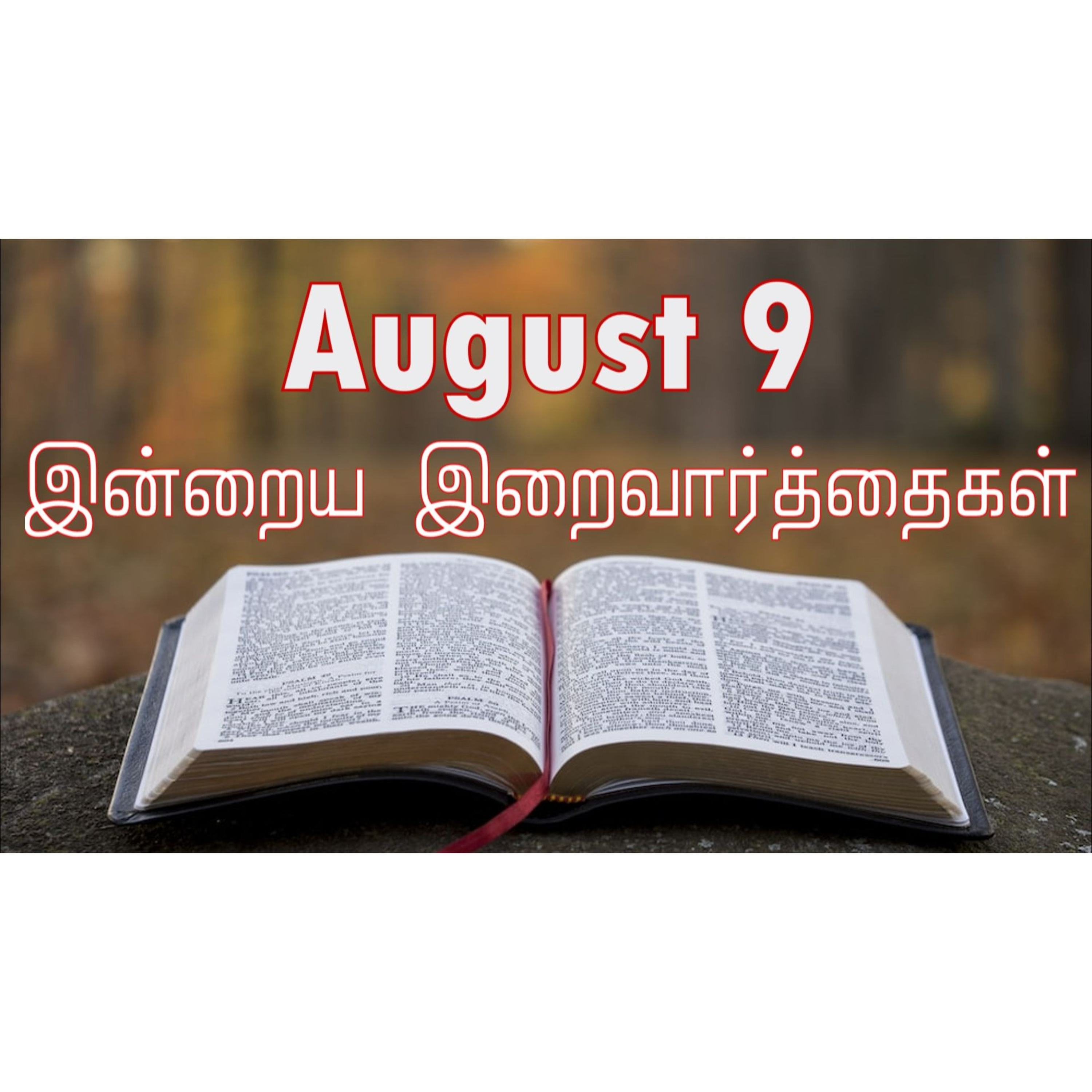 9 August 2024 | இன்றைய திருப்பலி வாசகங்கள் | Holy Mass Readings Tamil | Catholic | Daily Bible Reading Tamil episode artwork