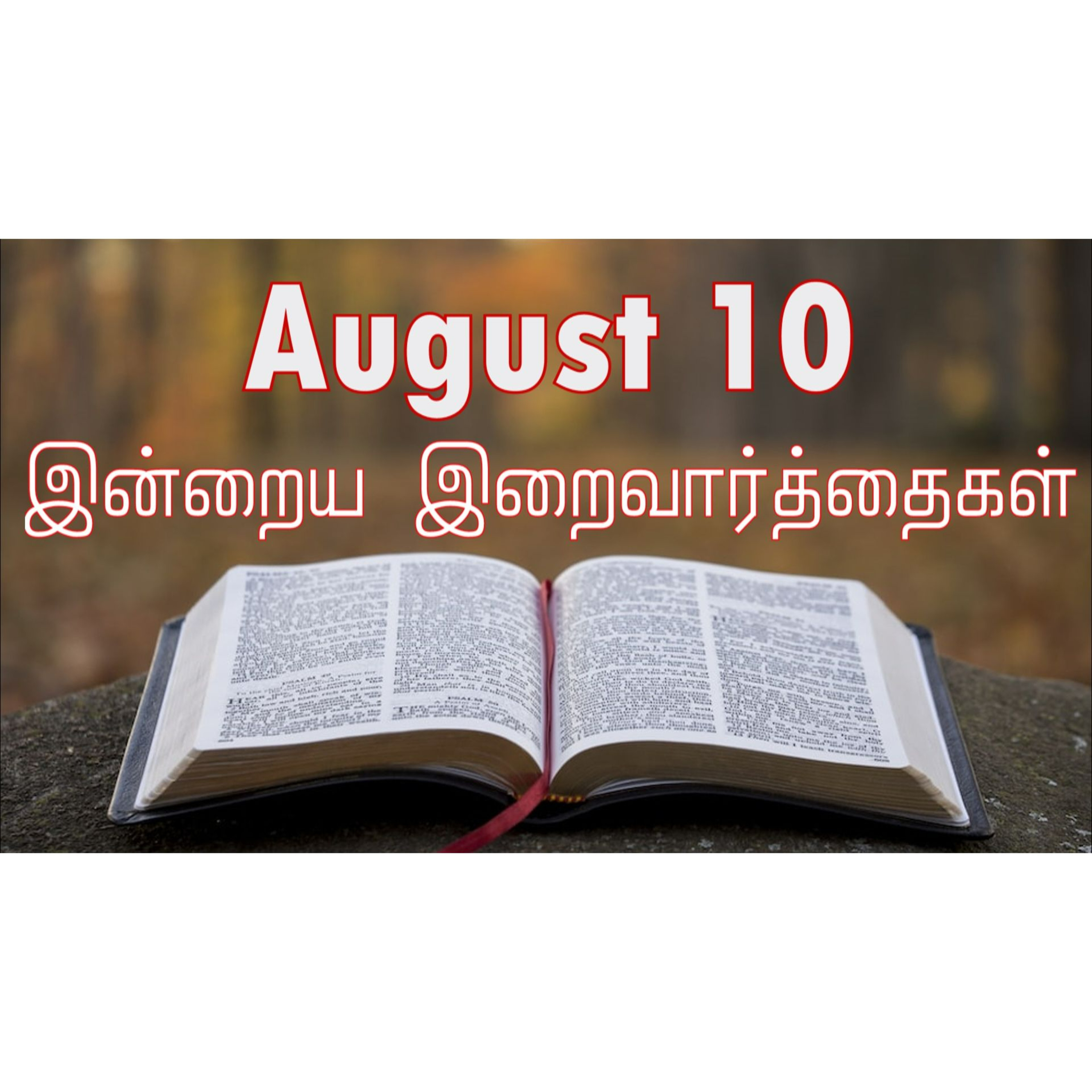 10 August 2024 | இன்றைய திருப்பலி வாசகங்கள் | Holy Mass Readings Tamil | Catholic | Daily Bible Reading Tamil  episode artwork