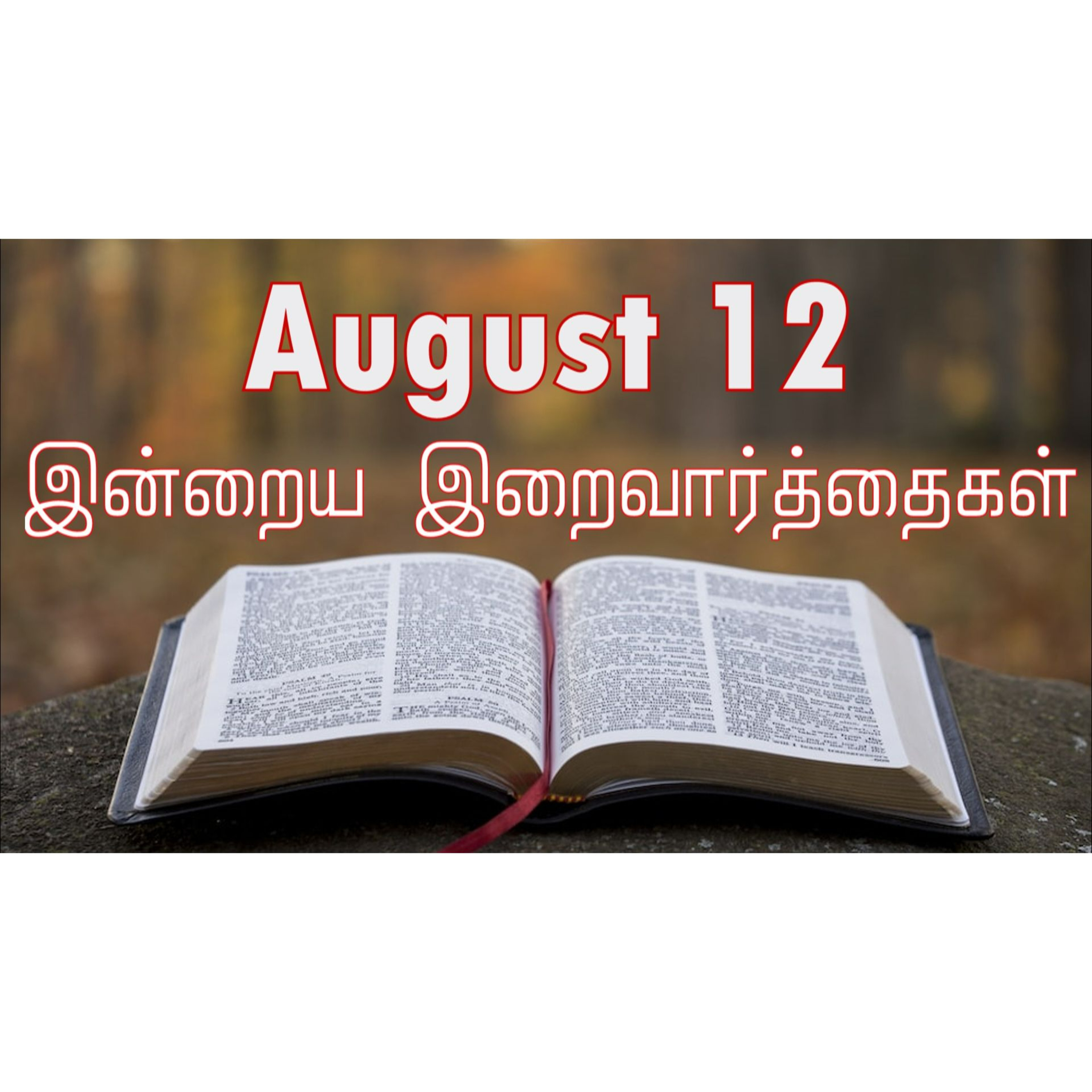 12 August 2024 | இன்றைய திருப்பலி வாசகங்கள் | Holy Mass Readings Tamil | Catholic | Daily Bible Reading Tamil 