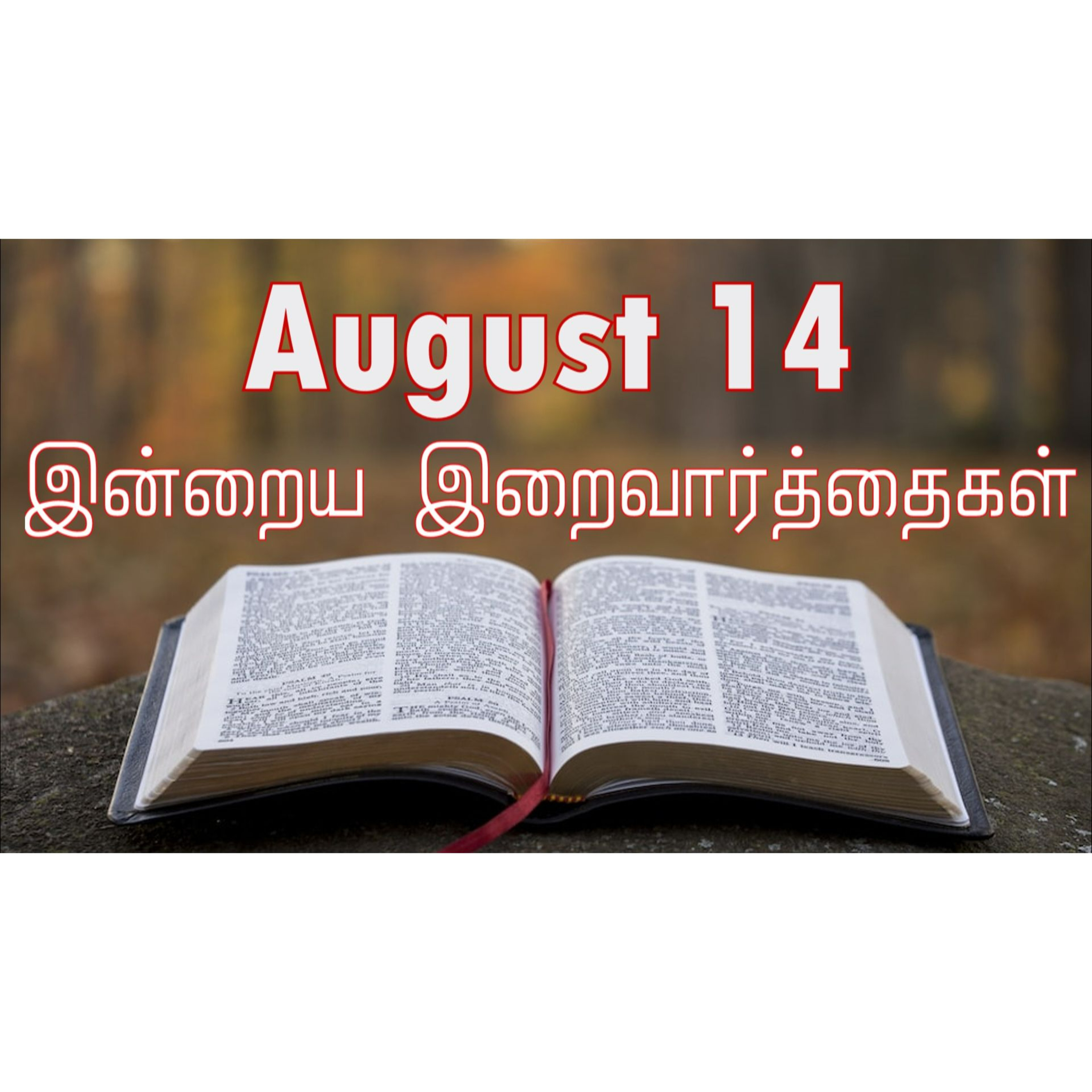 14 August 2024 | இன்றைய திருப்பலி வாசகங்கள் | Holy Mass Readings Tamil | Catholic | Daily Bible Reading Tamil episode artwork