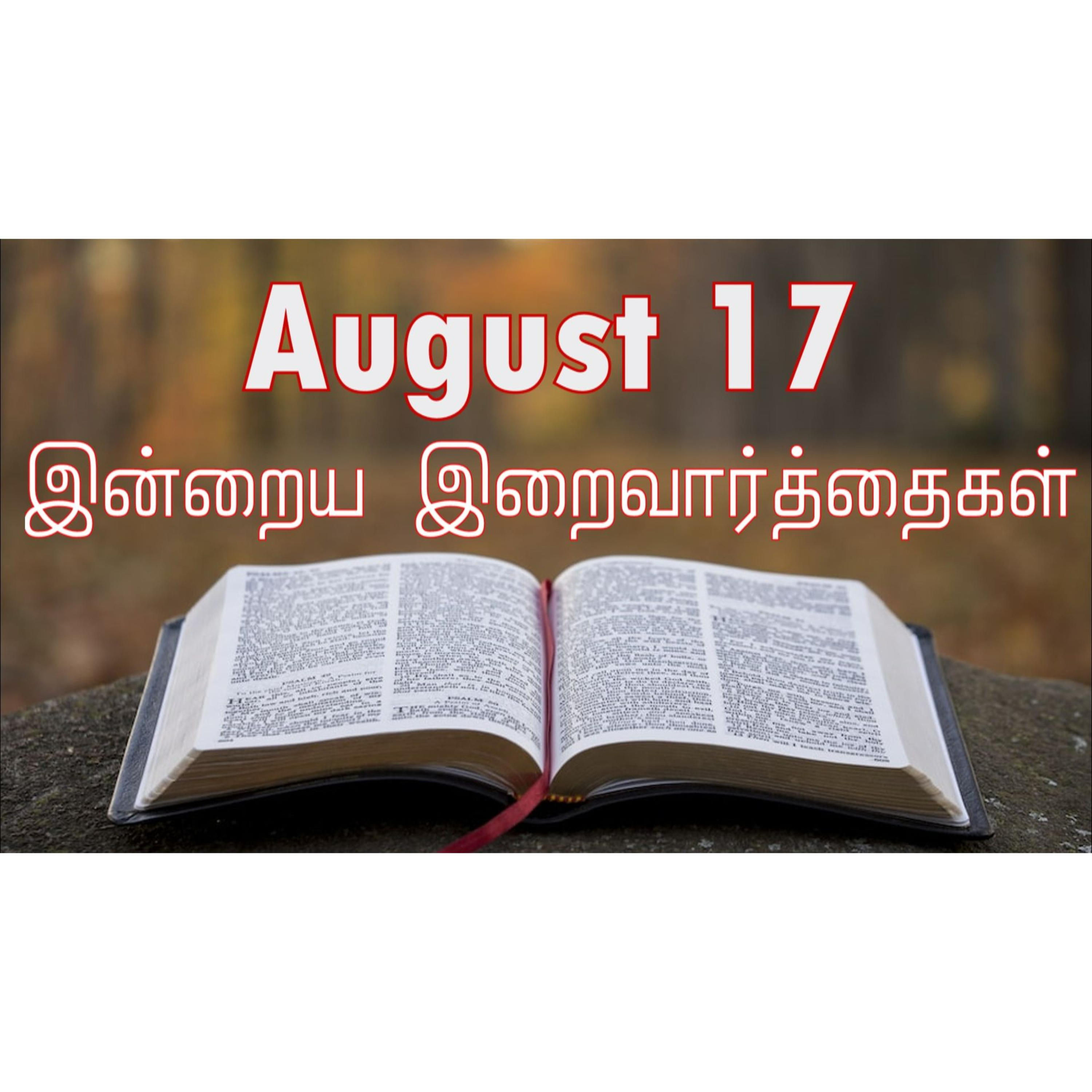 17 August 2024 | இன்றைய திருப்பலி வாசகங்கள் | Holy Mass Readings Tamil | Catholic | Daily Bible Reading Tamil