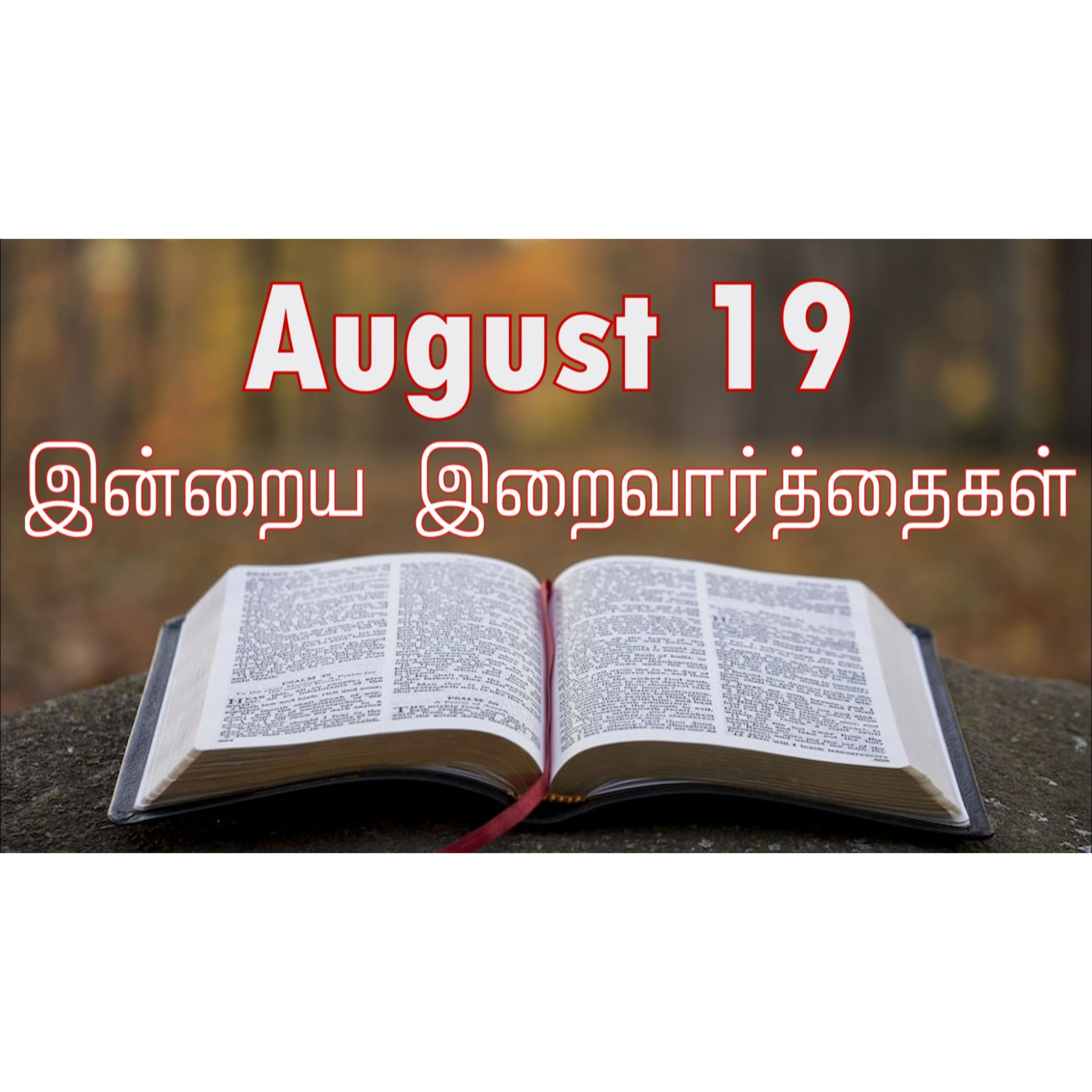 19 August 2024 | இன்றைய திருப்பலி வாசகங்கள் | Holy Mass Readings Tamil | Catholic | Daily Bible Reading Tamil  episode artwork