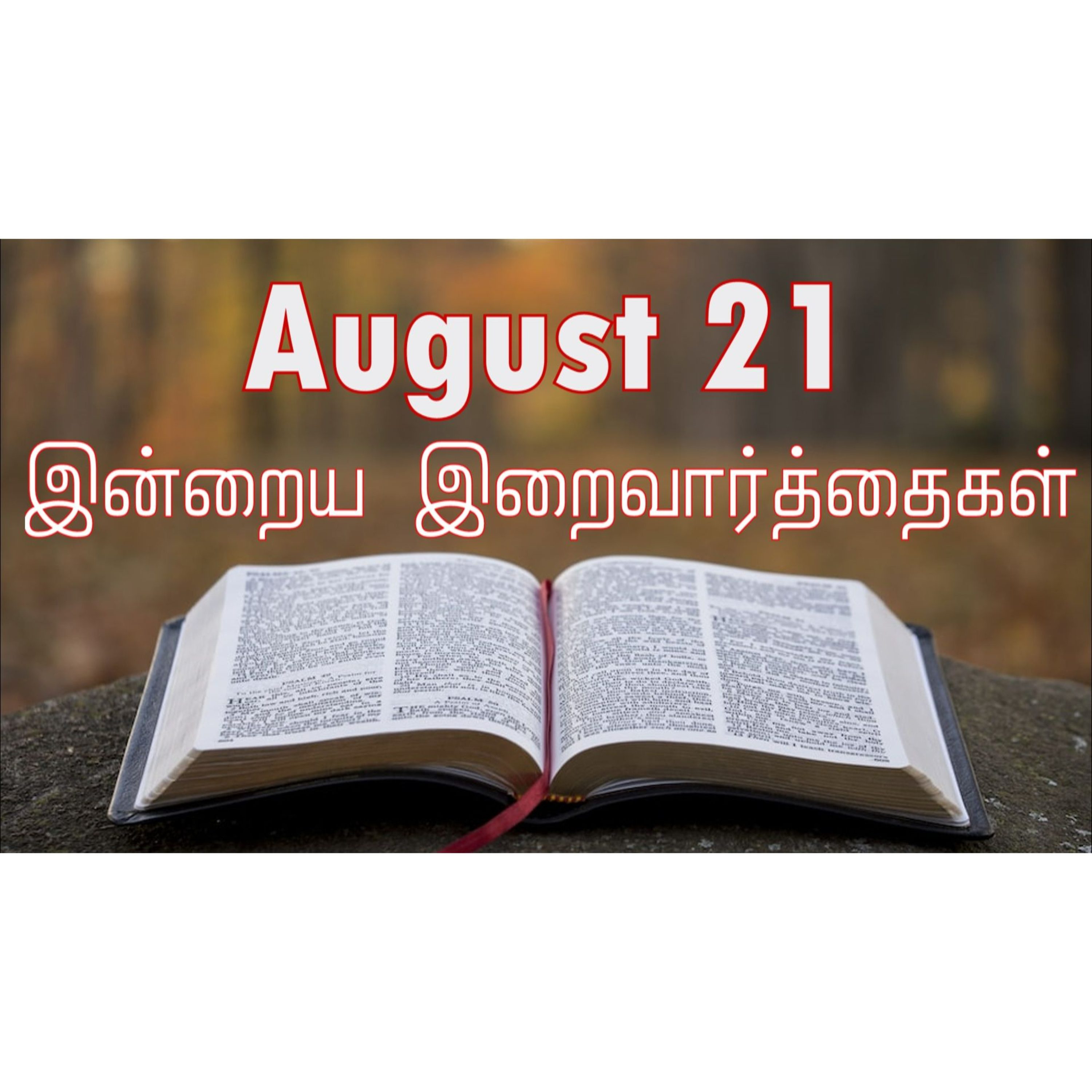 21 August 2024 | இன்றைய திருப்பலி வாசகங்கள் | Holy Mass Readings Tamil | Catholic | Daily Bible Reading Tamil episode artwork