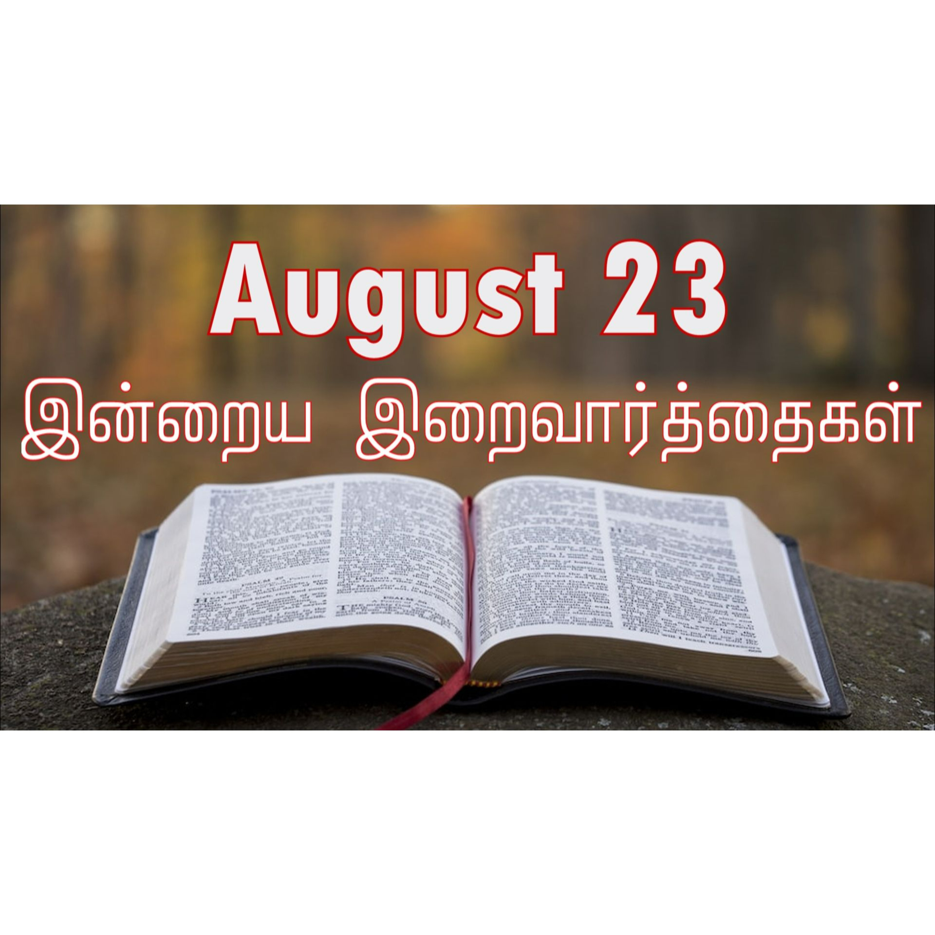 23 August 2024 | இன்றைய திருப்பலி வாசகங்கள் | Holy Mass Readings Tamil | Catholic | Daily Bible Reading Tamil episode artwork