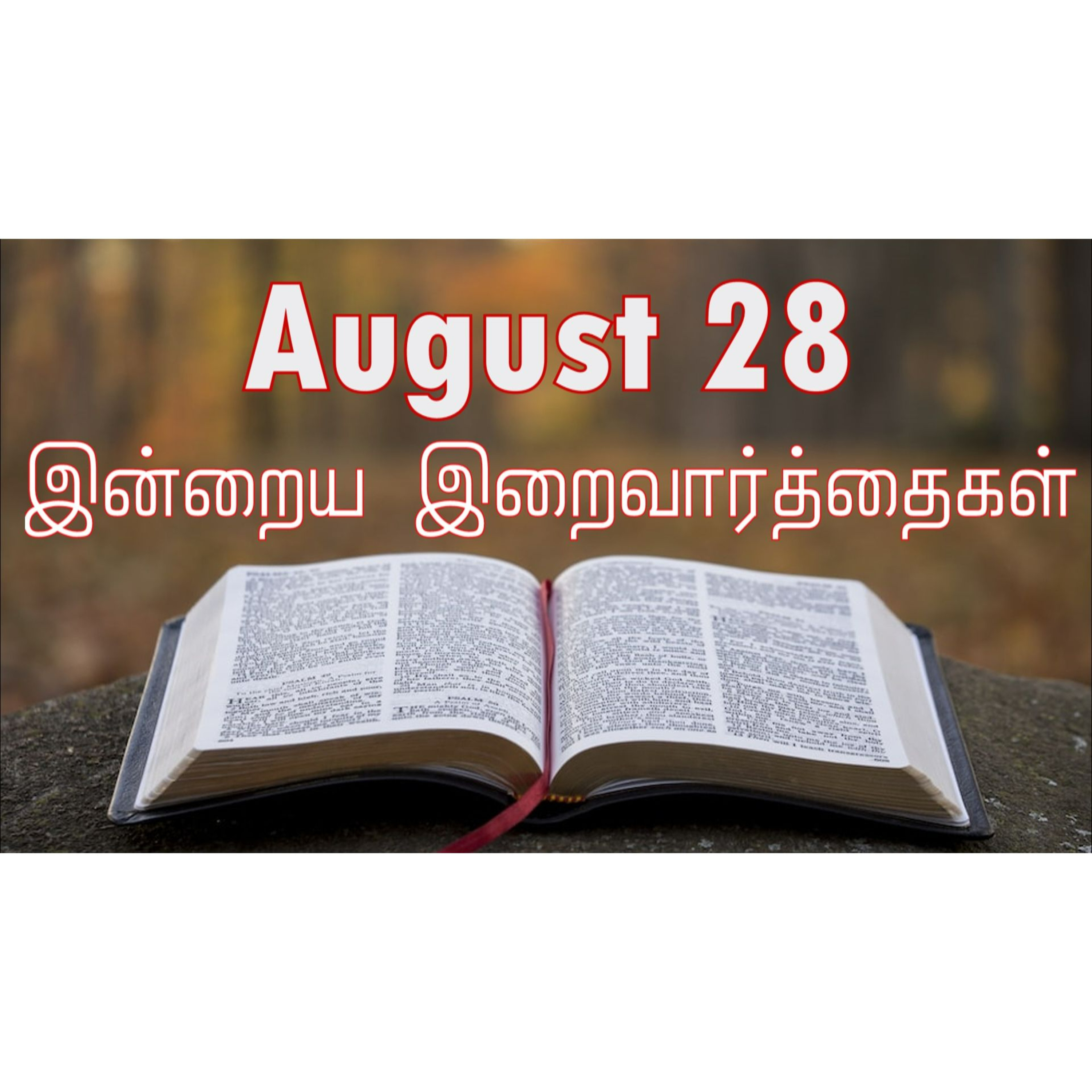 28 August 2024 | இன்றைய திருப்பலி வாசகங்கள் | Holy Mass Readings Tamil | Catholic | Daily Bible Reading Tamil episode artwork