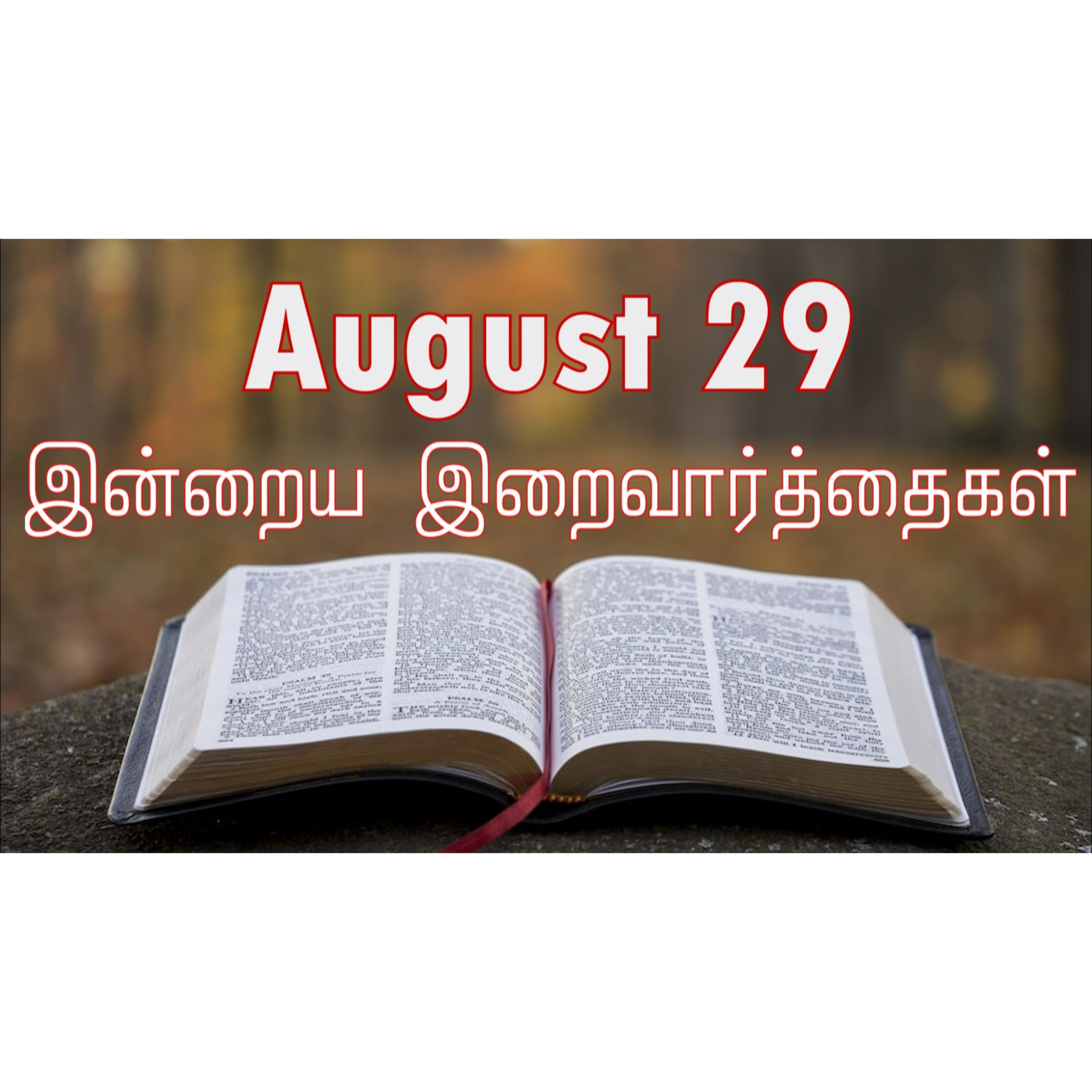 29 August 2024 | இன்றைய திருப்பலி வாசகங்கள் | Holy Mass Readings Tamil | Catholic | Daily Bible Reading Tamil episode artwork