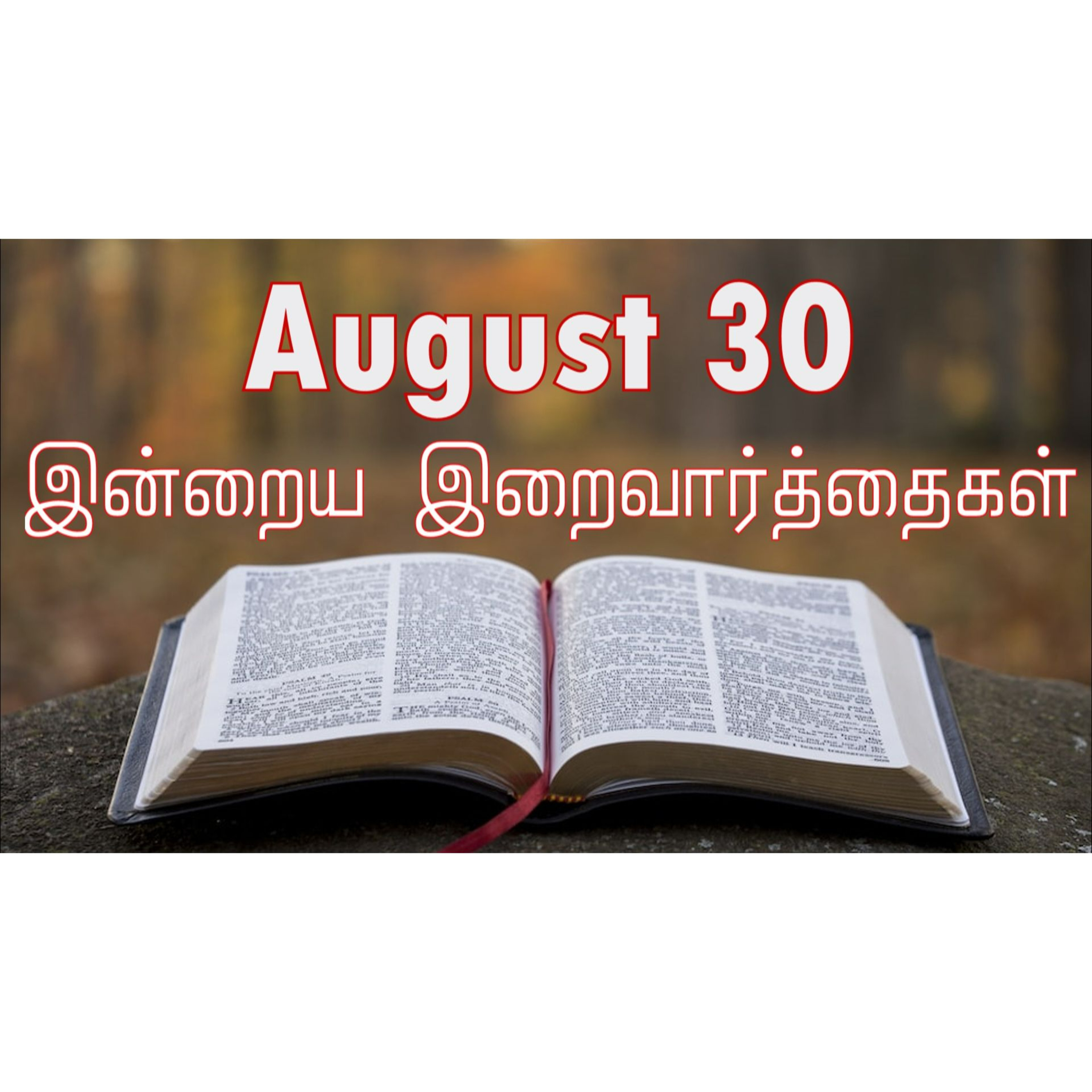 30 August 2024 | இன்றைய திருப்பலி வாசகங்கள் | Holy Mass Readings Tamil | Catholic | Daily Bible Reading Tamil  episode artwork