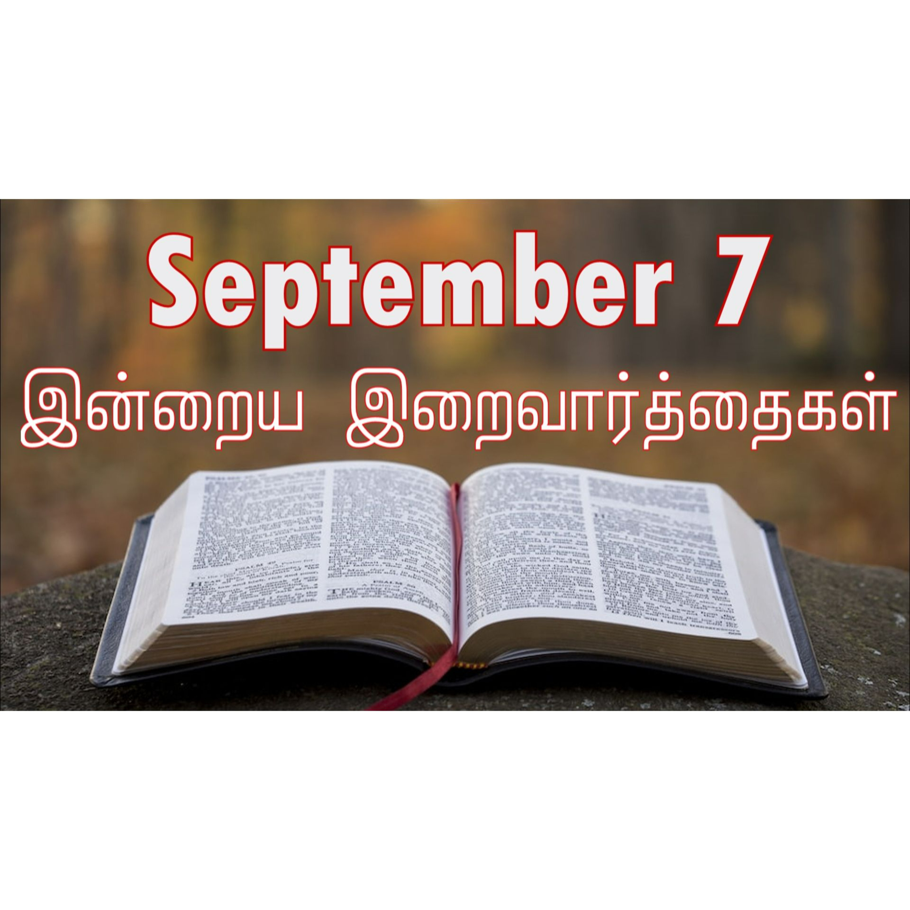 7 September 2024 | இன்றைய திருப்பலி வாசகங்கள் | Holy Mass Readings Tamil | Catholic | Daily Bible Reading Tamil episode artwork