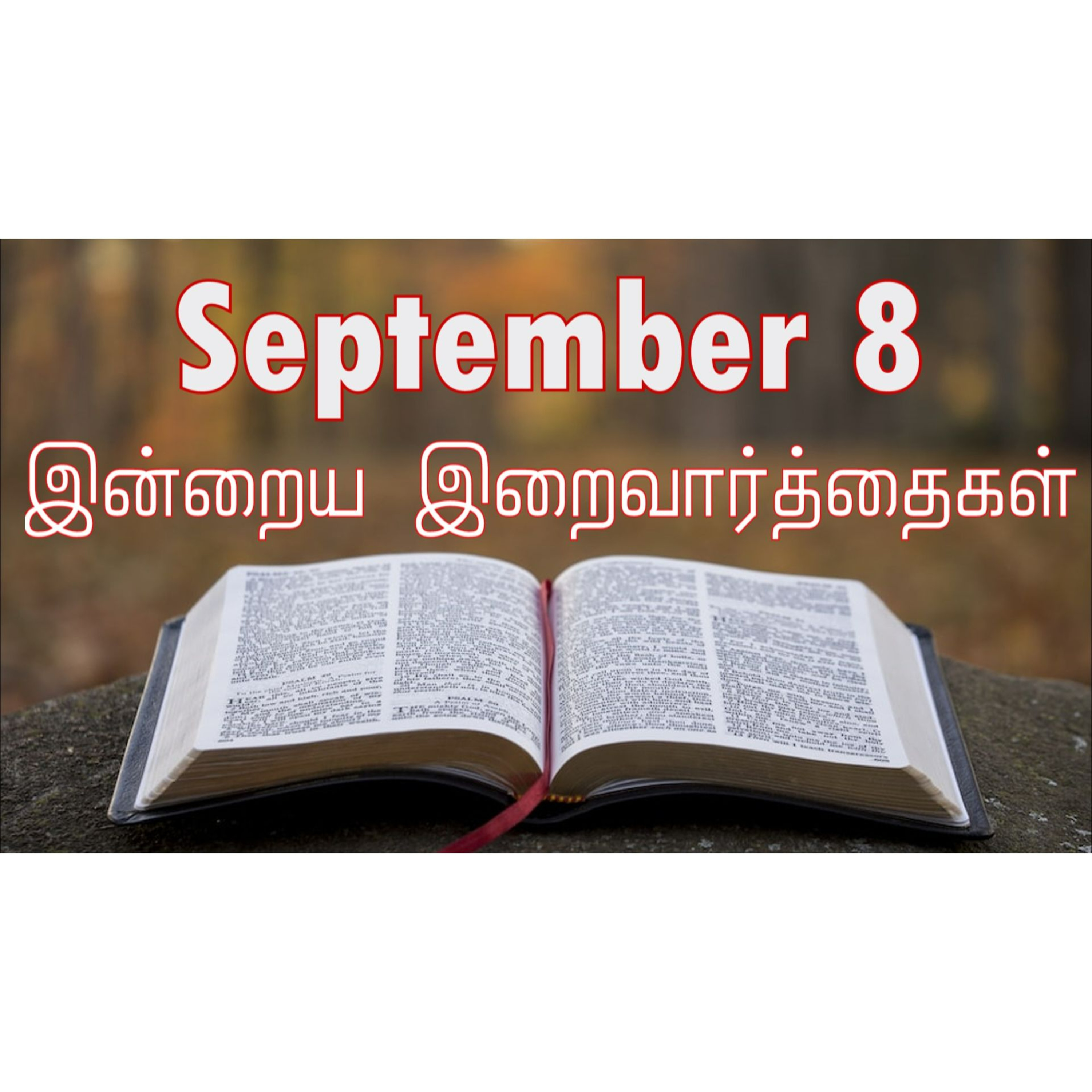 8 September 2024 | இன்றைய திருப்பலி வாசகங்கள் | Holy Mass Readings Tamil | Catholic | Daily Bible Reading Tamil episode artwork