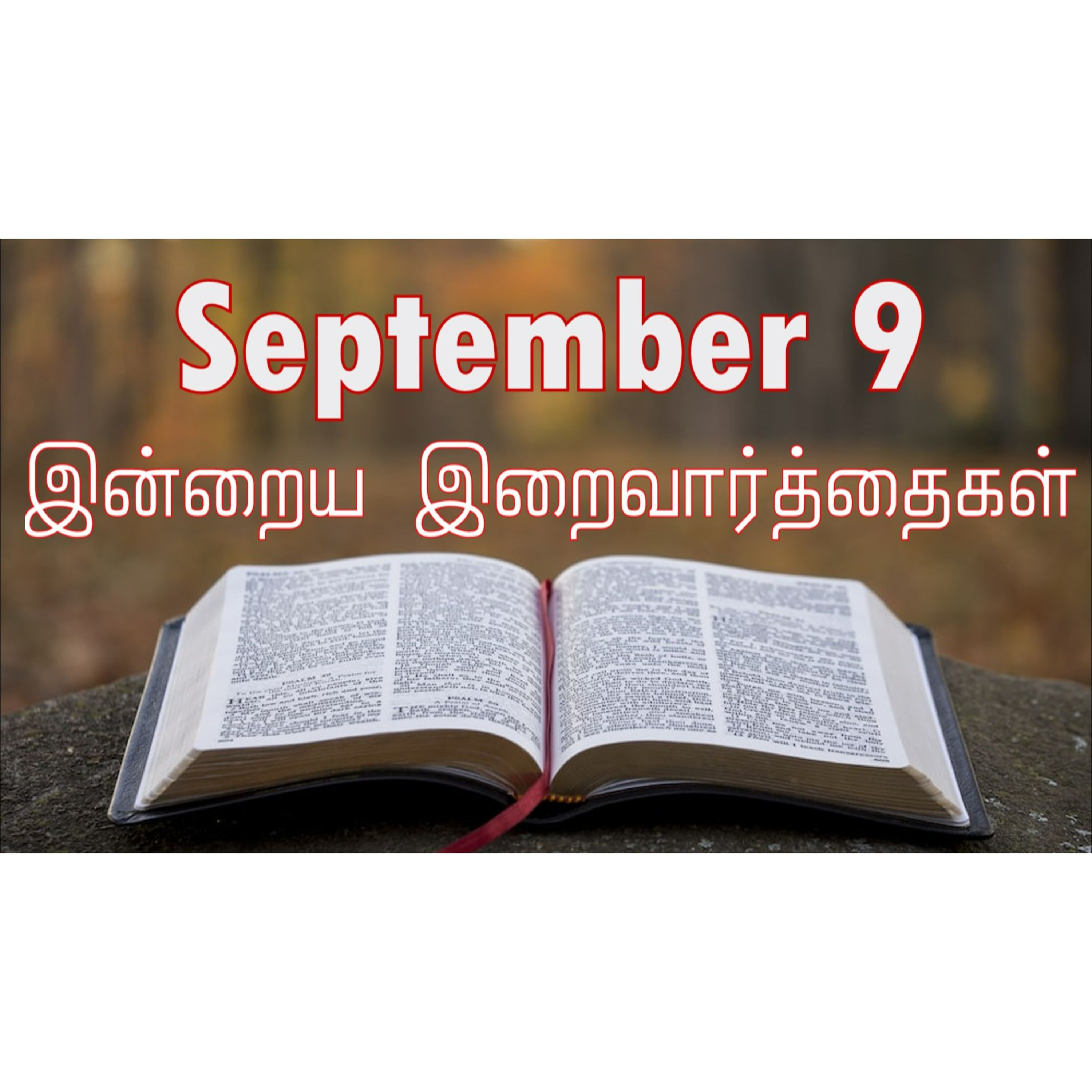 9 September 2024 | இன்றைய திருப்பலி வாசகங்கள் | Holy Mass Readings Tamil | Catholic | Daily Bible Reading Tamil episode artwork