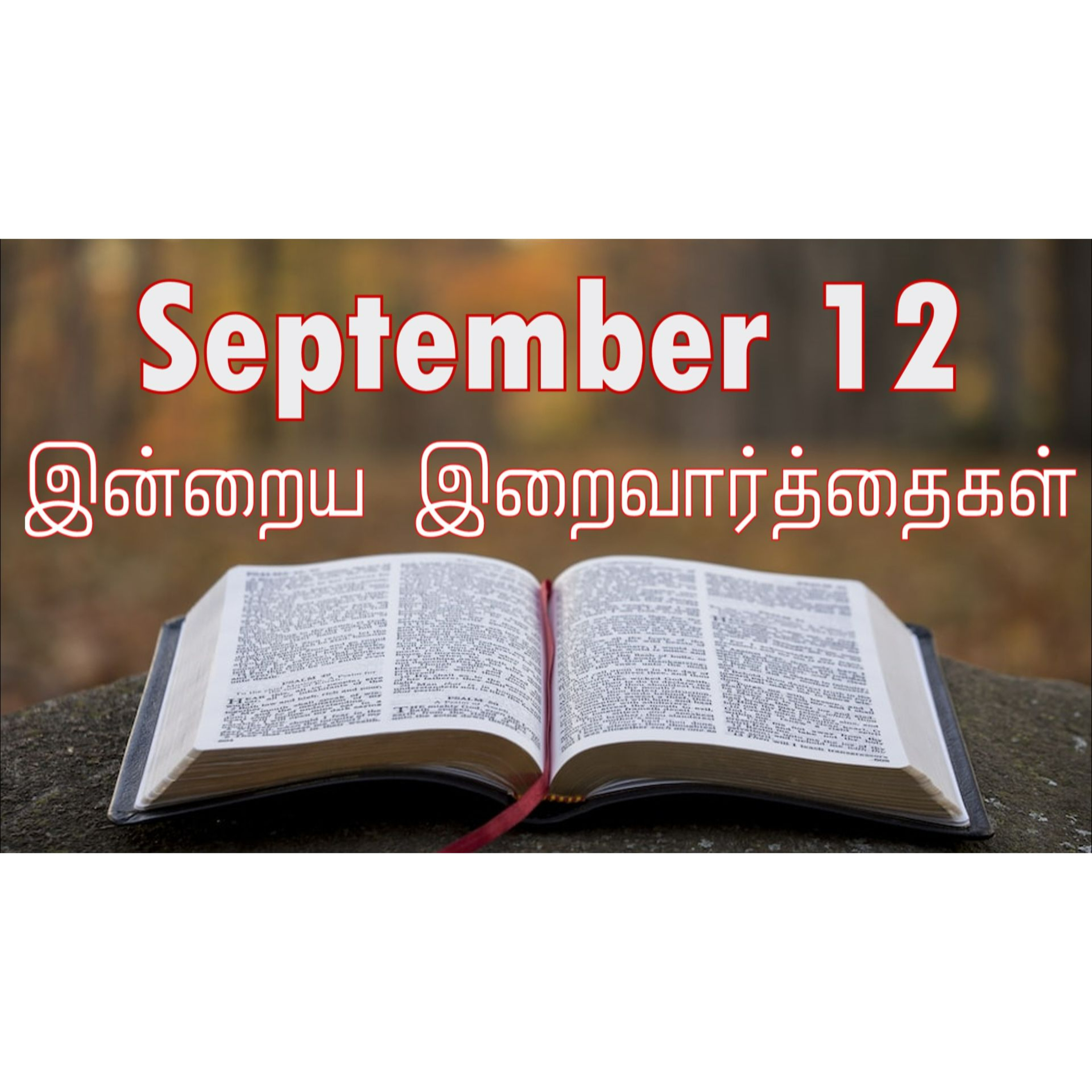 12 September 2024 | இன்றைய திருப்பலி வாசகங்கள் | Holy Mass Readings Tamil | Catholic | Daily Bible Reading Tamil  episode artwork