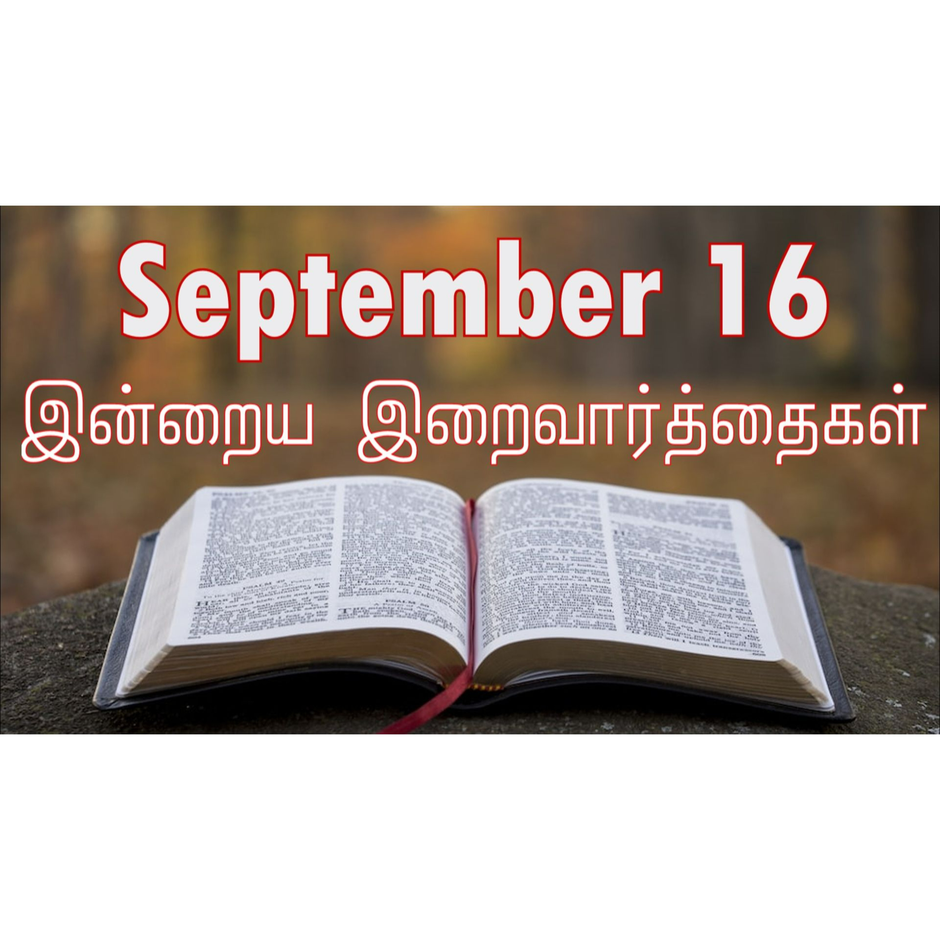 16 September 2024 | இன்றைய திருப்பலி வாசகங்கள் | Holy Mass Readings Tamil | Catholic | Daily Bible Reading Tamil episode artwork