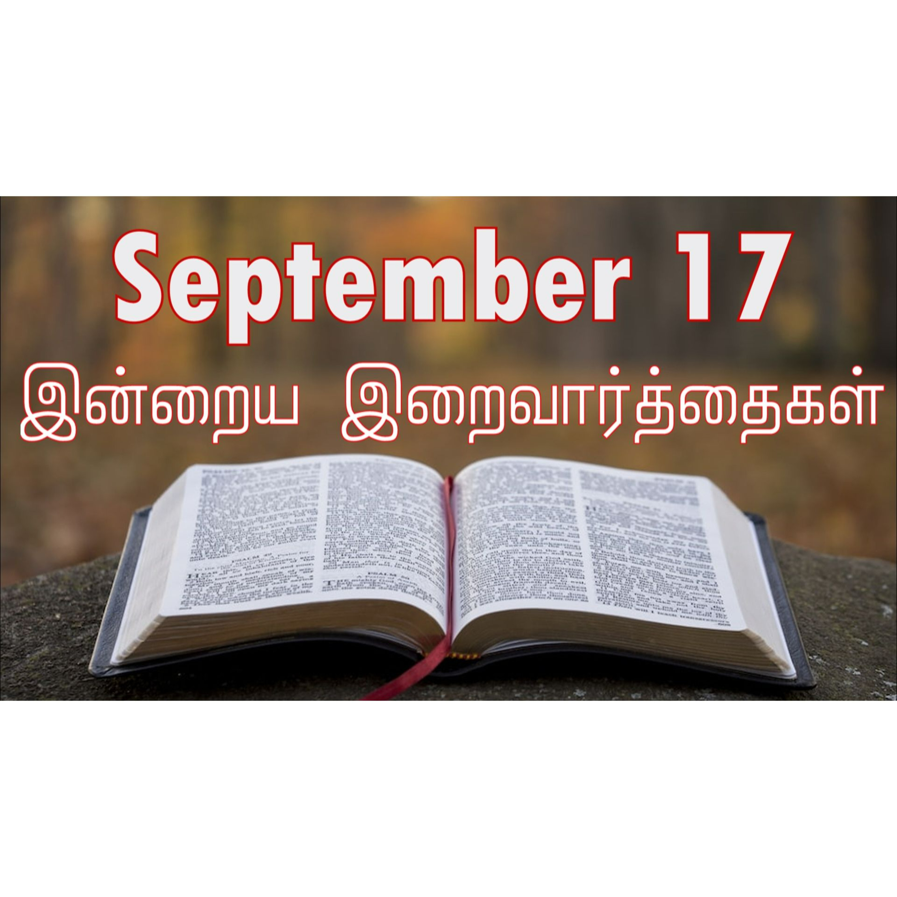 17 September 2024 | இன்றைய திருப்பலி வாசகங்கள் | Holy Mass Readings Tamil | Catholic | Daily Bible Reading Tamil episode artwork
