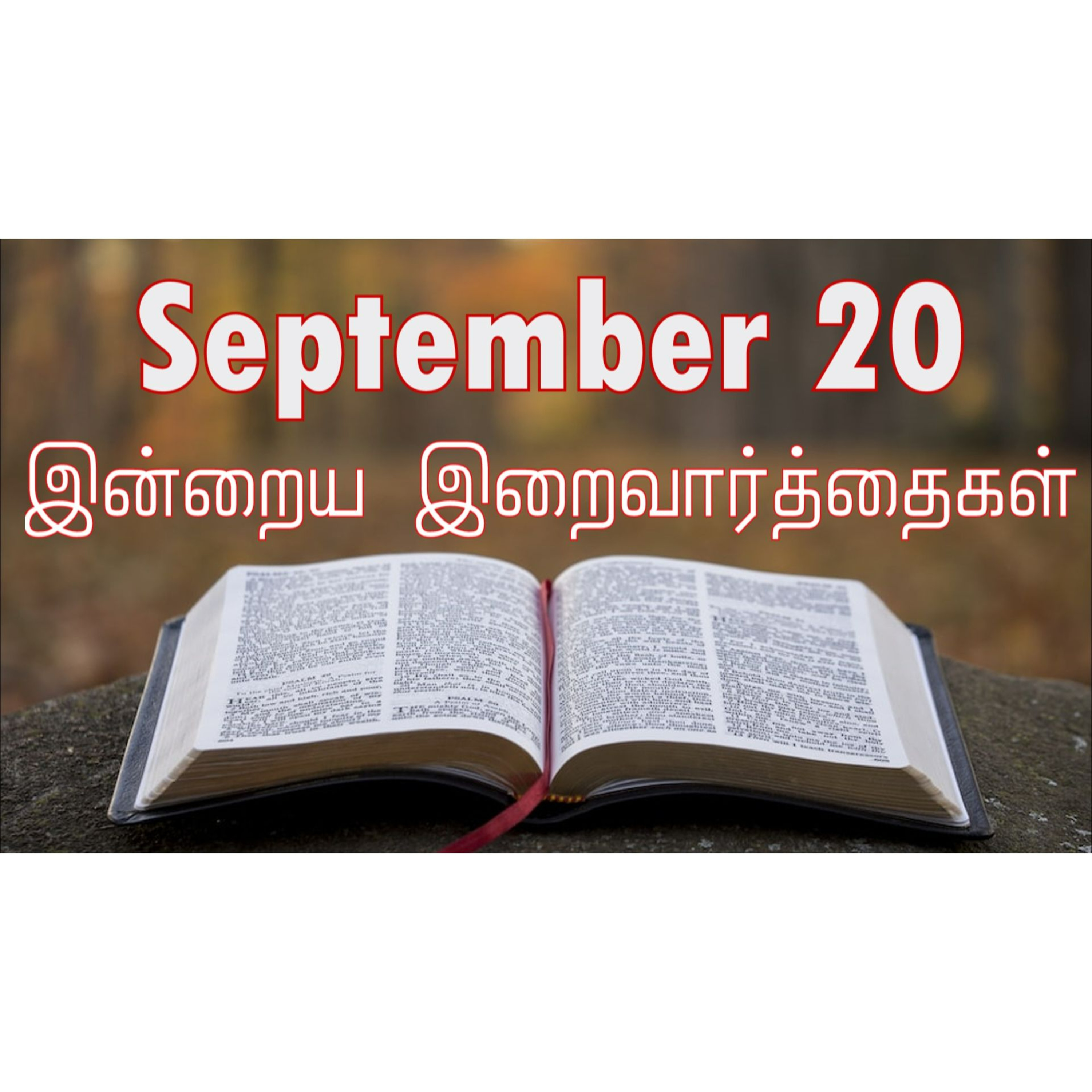 20 September 2024 | இன்றைய திருப்பலி வாசகங்கள் | Holy Mass Readings Tamil | Catholic | Daily Bible Reading Tamil episode artwork