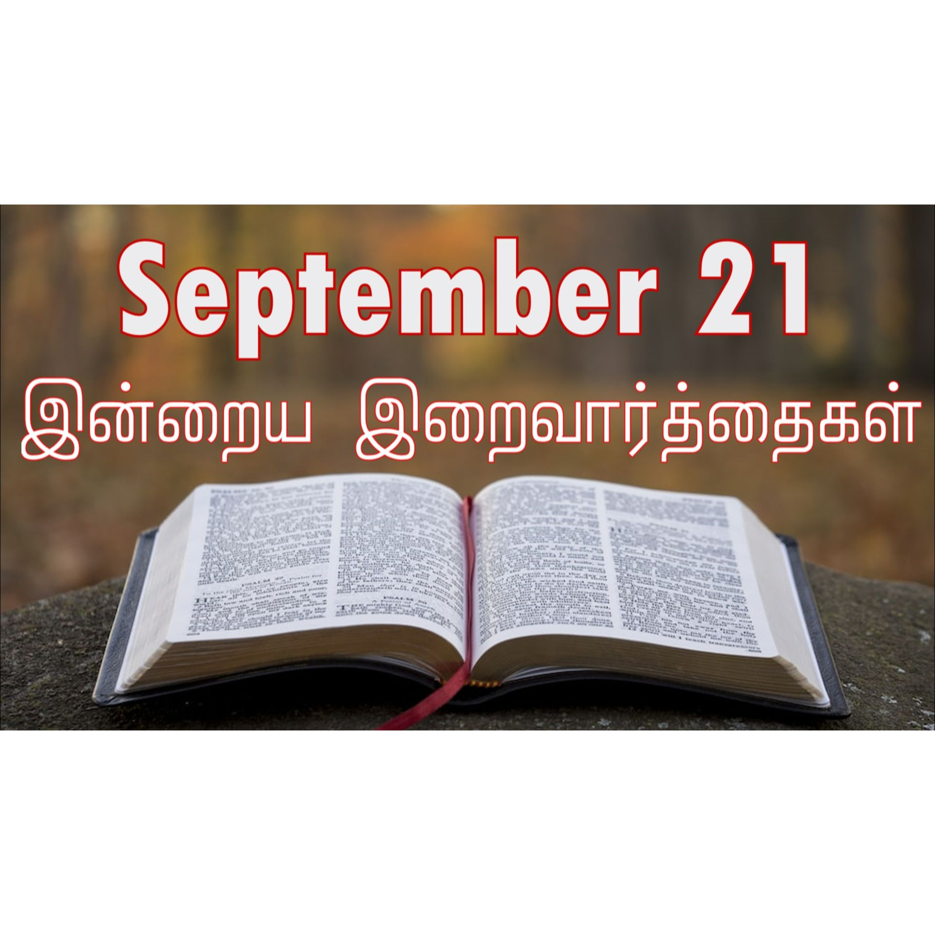 21 September 2024 | இன்றைய திருப்பலி வாசகங்கள் | Holy Mass Readings Tamil | Catholic | Daily Bible Reading Tamil  episode artwork