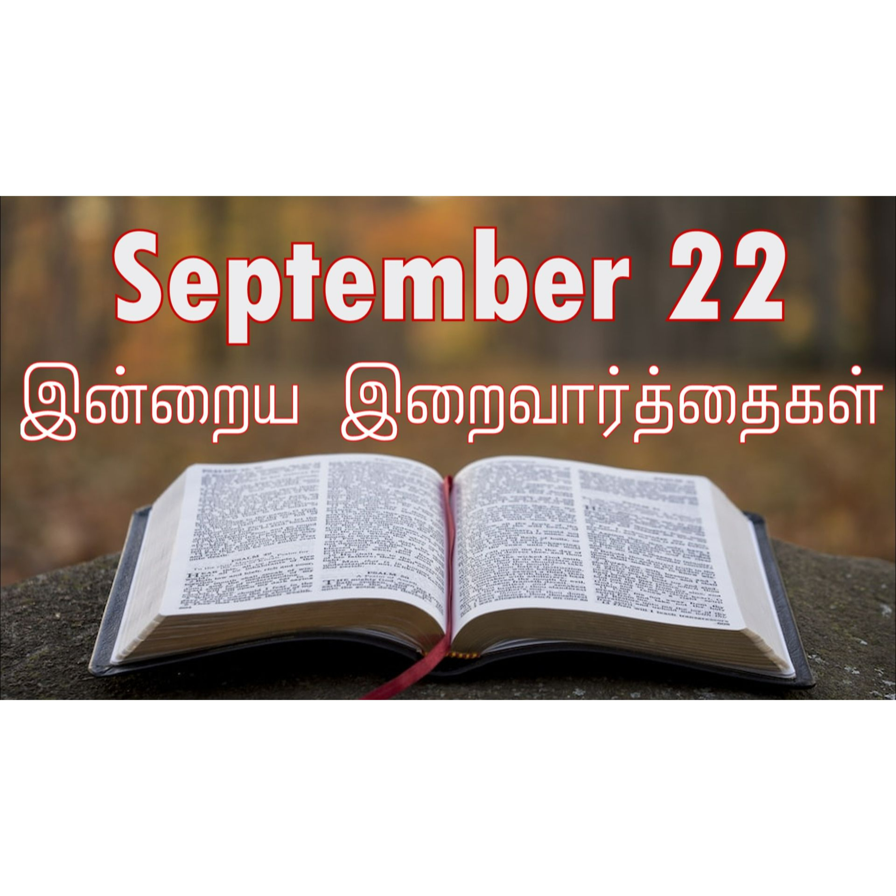 22 September 2024 | இன்றைய திருப்பலி வாசகங்கள் | Holy Mass Readings Tamil | Catholic | Daily Bible Reading Tamil  episode artwork