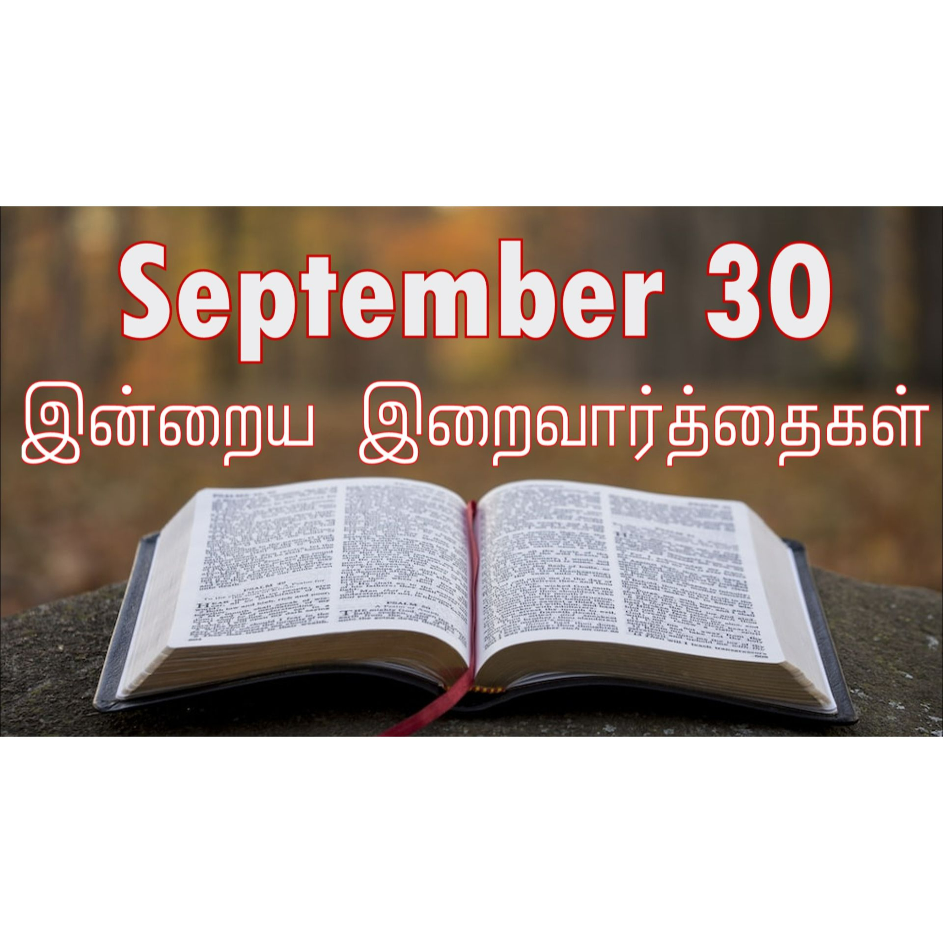 30 September 2024 | இன்றைய திருப்பலி வாசகங்கள் | Holy Mass Readings Tamil | Catholic | Daily Bible Reading Tamil  episode artwork