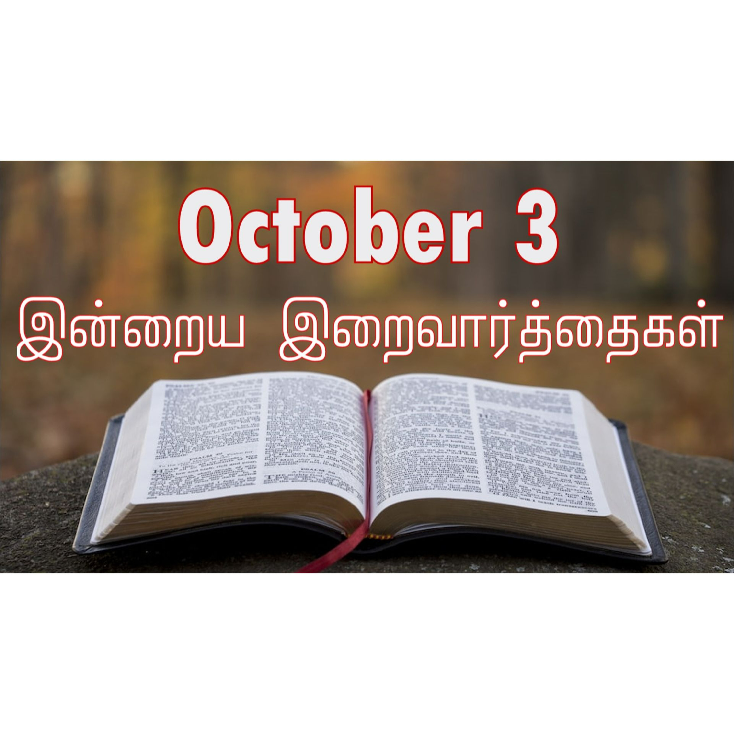 3 October 2024 | இன்றைய திருப்பலி வாசகங்கள் | Holy Mass Readings Tamil | Catholic | Daily Bible Reading Tamil | Mass readings today episode artwork
