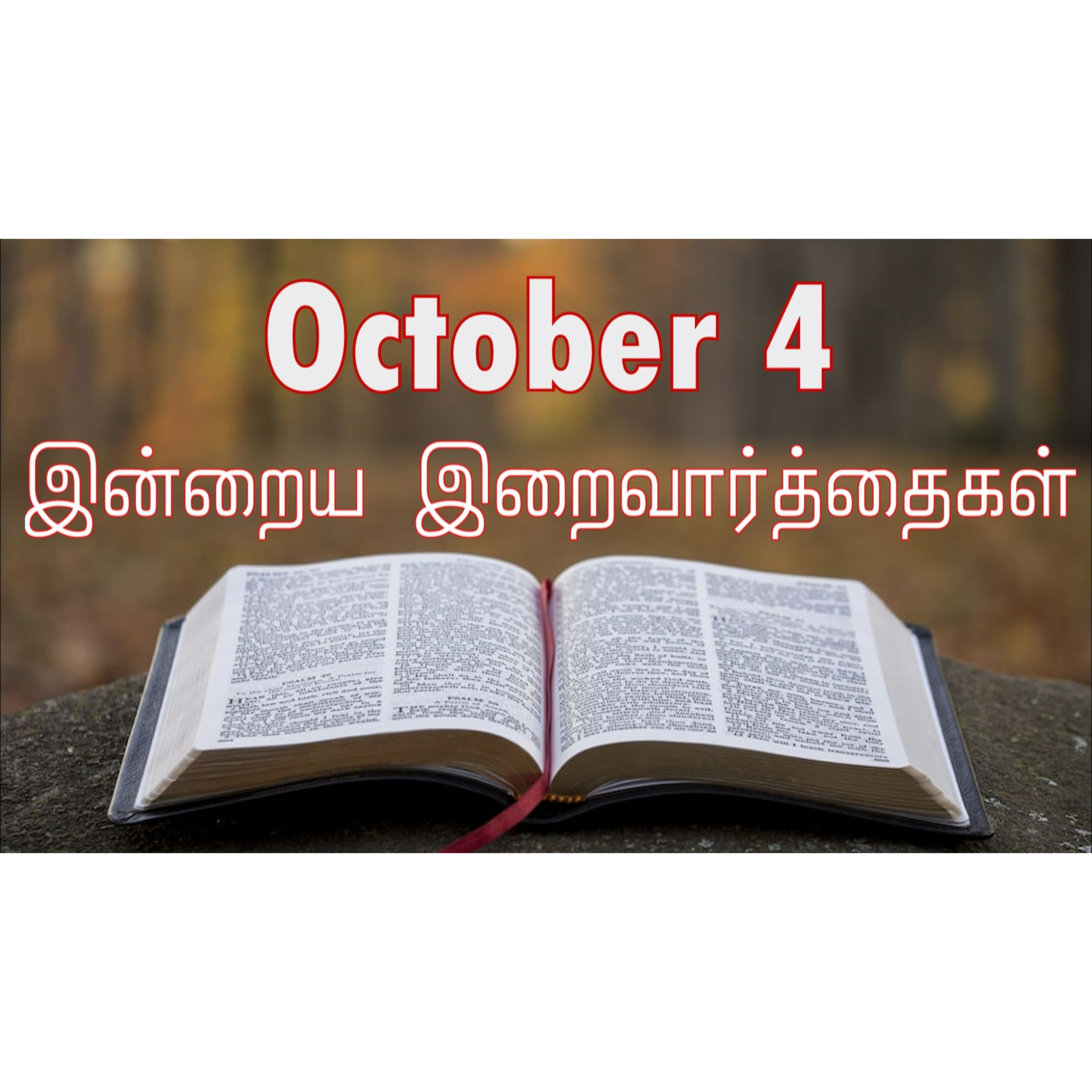 4 October 2024 | இன்றைய திருப்பலி வாசகங்கள் | Holy Mass Readings Tamil | Catholic | Daily Bible Reading Tamil | Mass readings today episode artwork