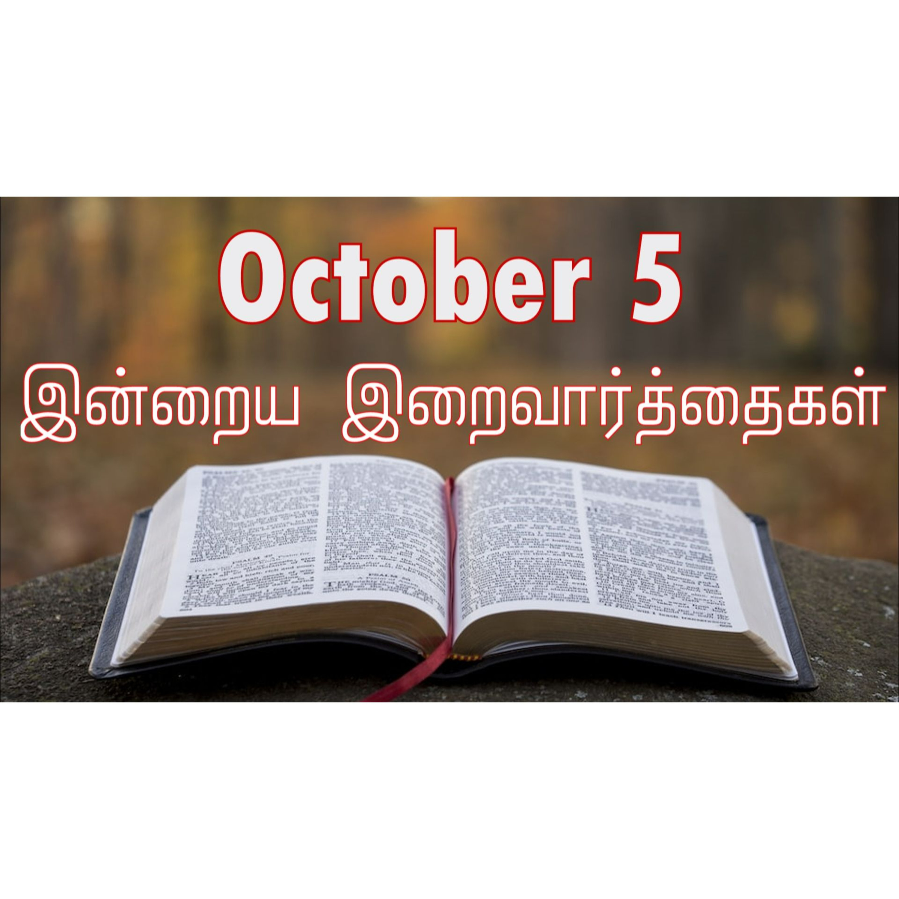 5 October 2024 | இன்றைய திருப்பலி வாசகங்கள் | Holy Mass Readings Tamil | Catholic | Daily Bible Reading Tamil | Mass readings today  episode artwork