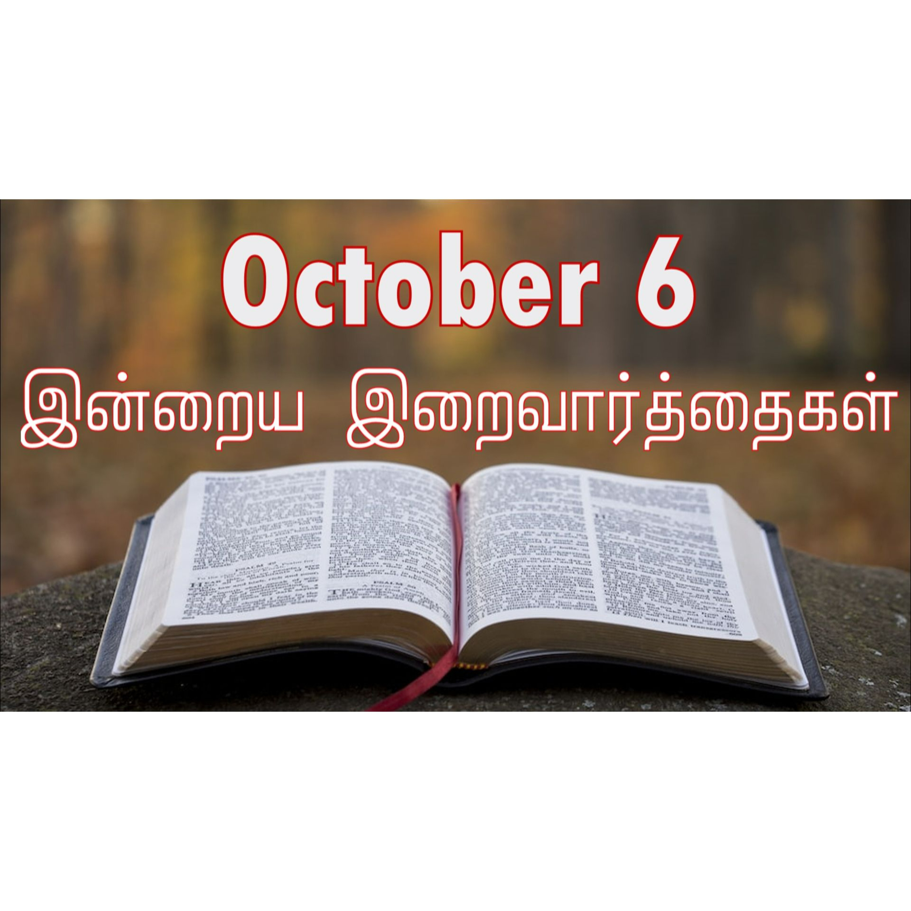 6 October 2024 | இன்றைய திருப்பலி வாசகங்கள் | Holy Mass Readings Tamil | Catholic | Daily Bible Reading Tamil | Mass readings today  episode artwork