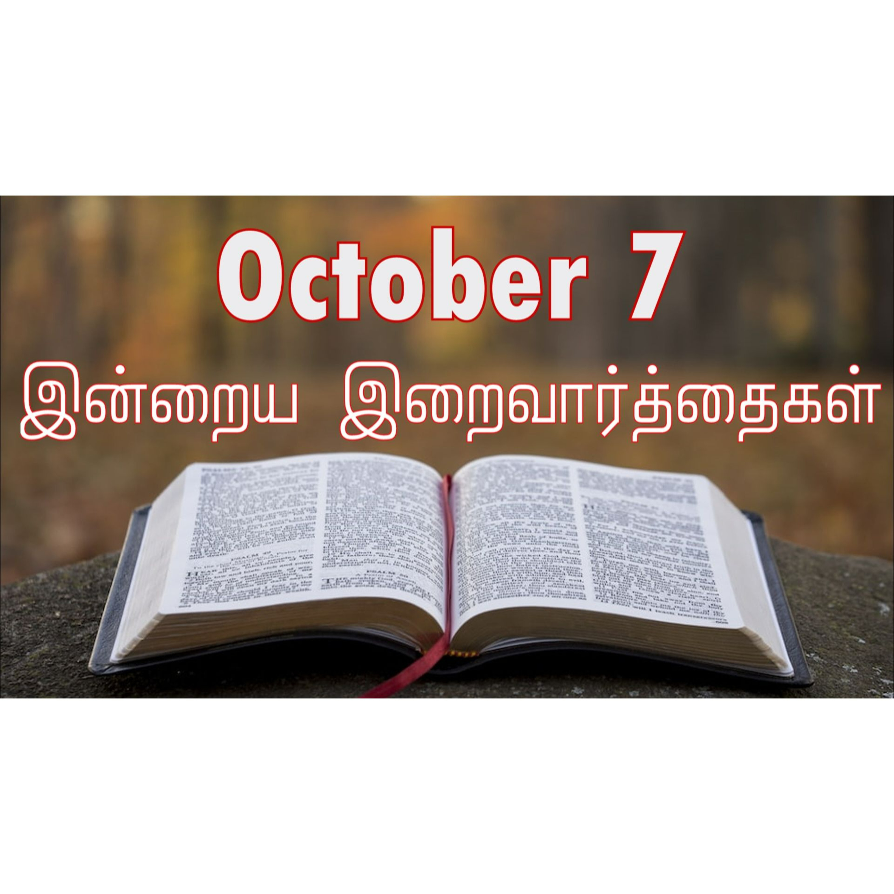 7 October 2024 | இன்றைய திருப்பலி வாசகங்கள் | Holy Mass Readings Tamil | Catholic | Daily Bible Reading Tamil | Mass readings today