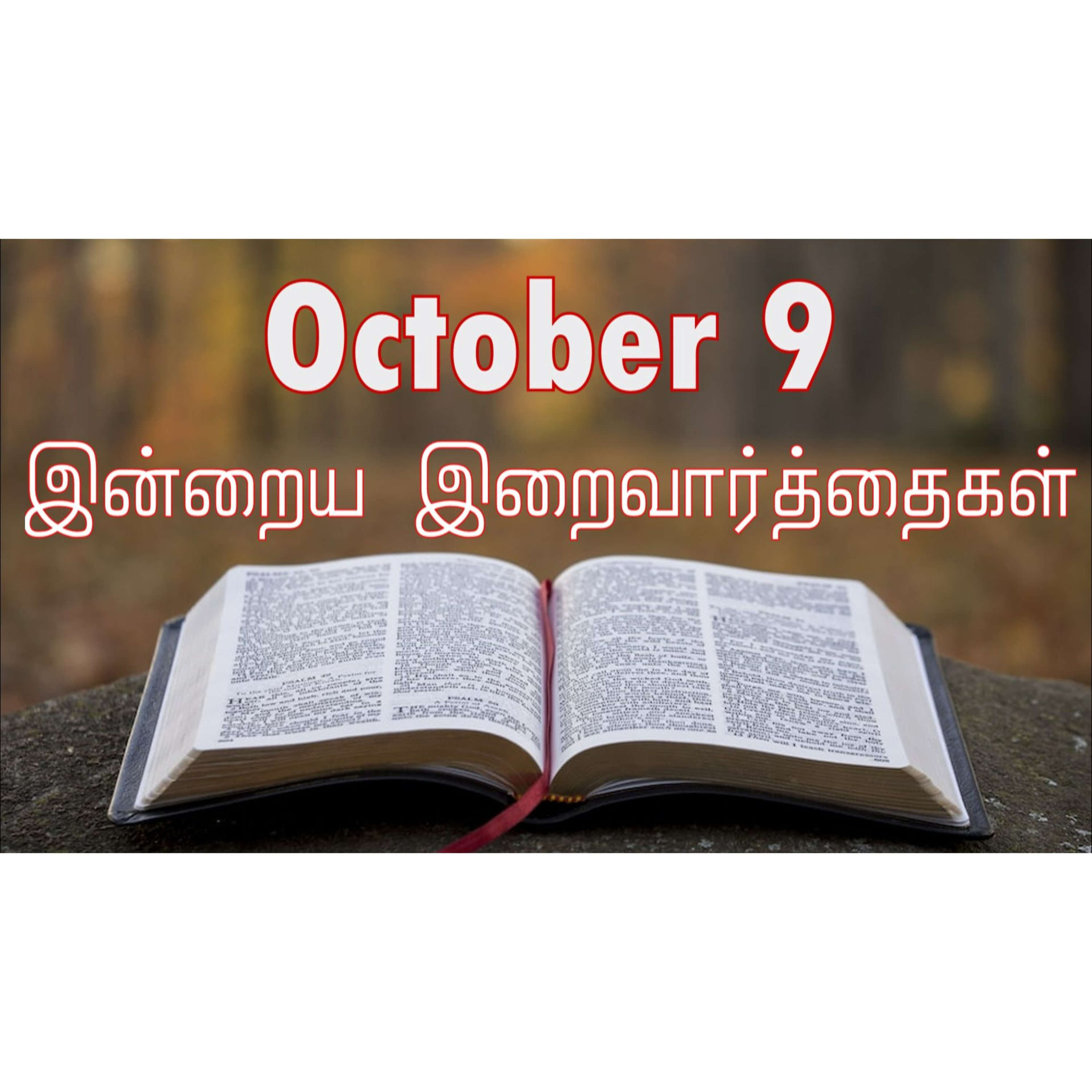 9 October 2024 | இன்றைய திருப்பலி வாசகங்கள் | Holy Mass Readings Tamil | Catholic | Daily Bible Reading Tamil | Mass readings today