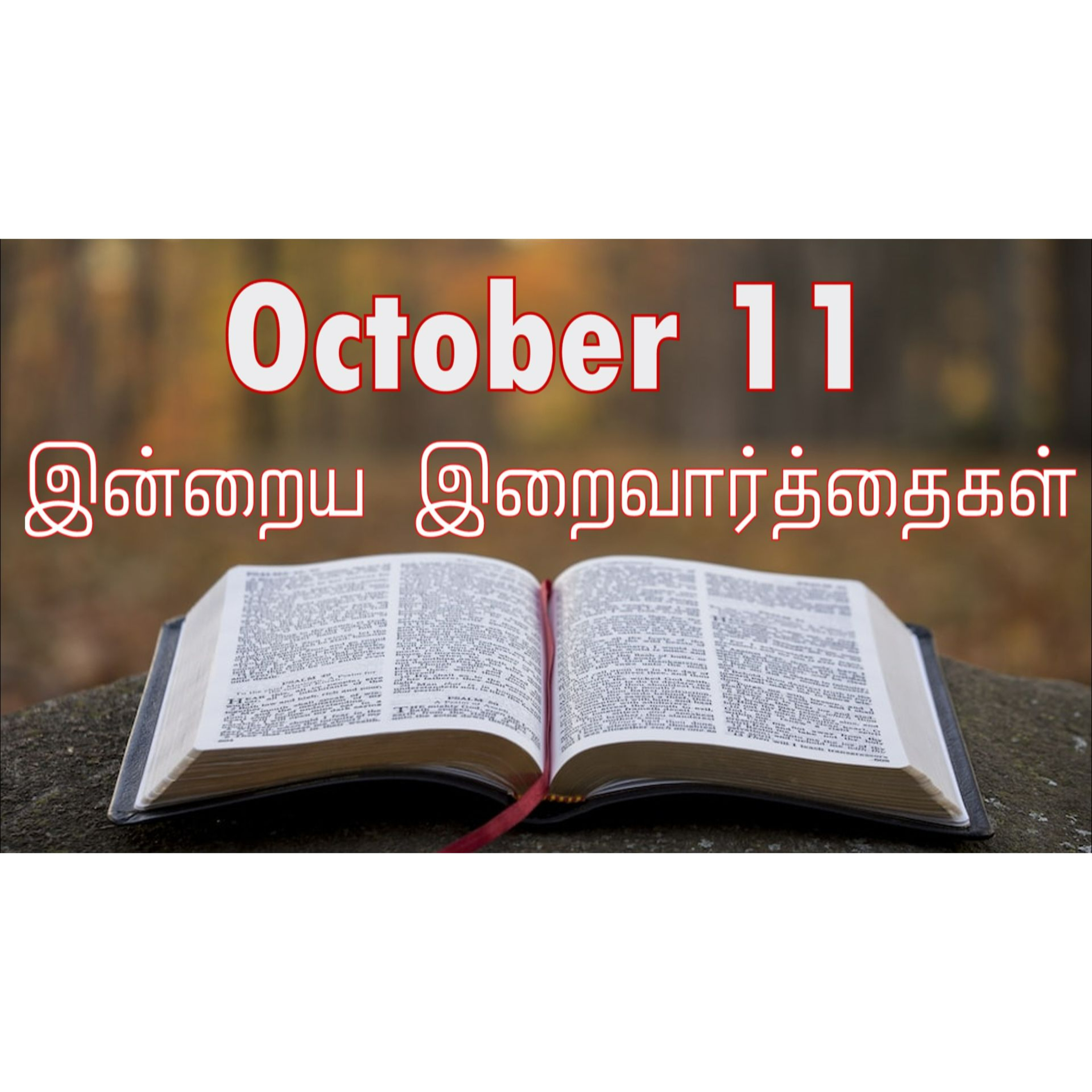 11 October 2024 | இன்றைய திருப்பலி வாசகங்கள் | Holy Mass Readings Tamil | Catholic | Daily Bible Reading Tamil | Mass readings today episode artwork