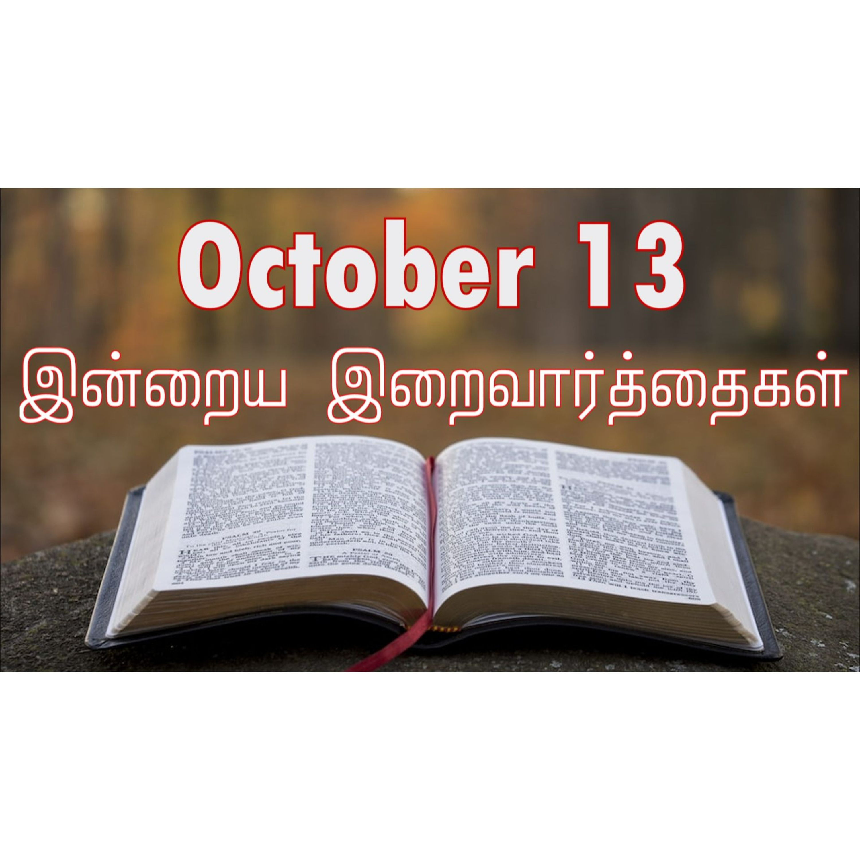 13 October 2024 | இன்றைய திருப்பலி வாசகங்கள் | Holy Mass Readings Tamil | Catholic | Daily Bible Reading Tamil | Mass readings today episode artwork