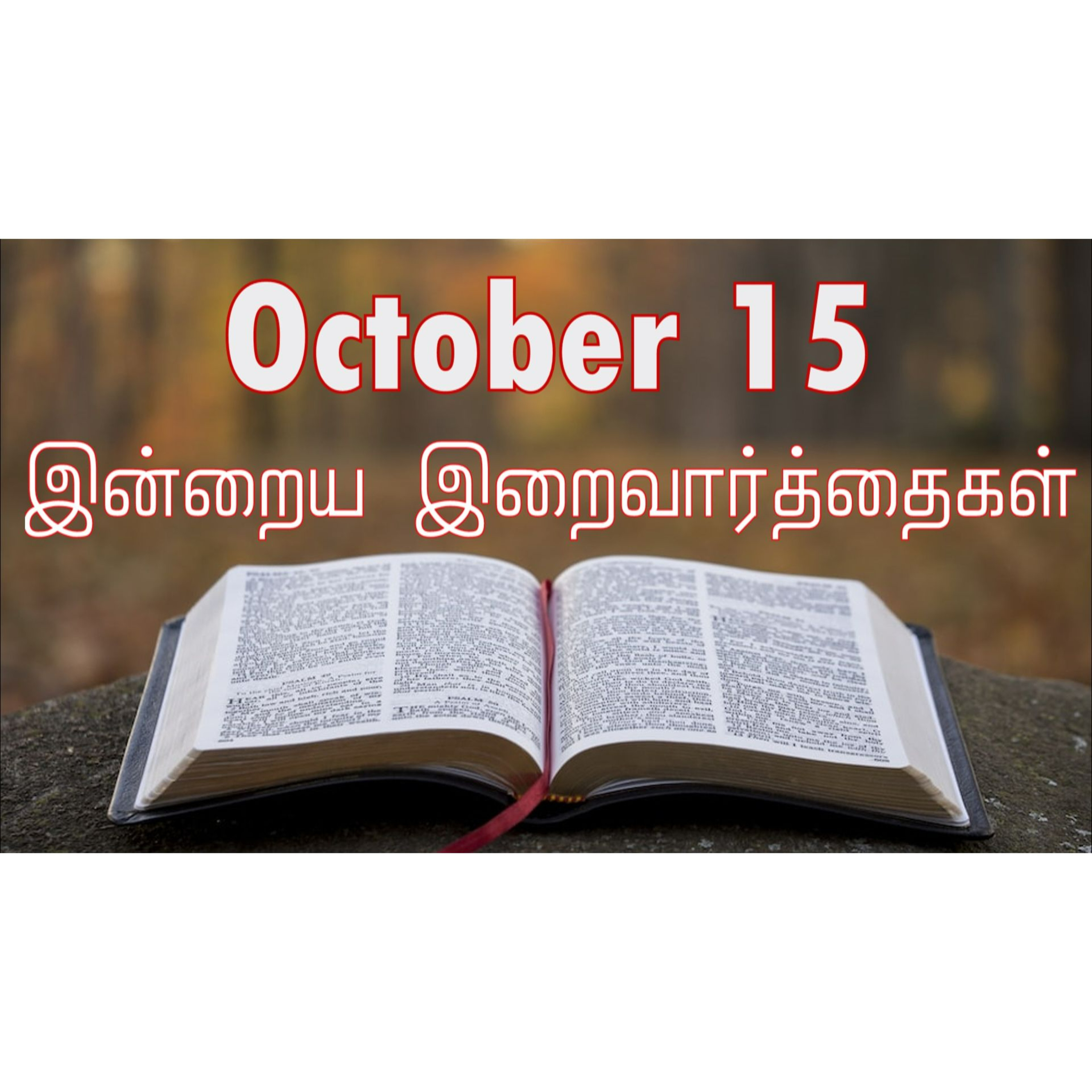 15 October 2024 | இன்றைய திருப்பலி வாசகங்கள் | Holy Mass Readings Tamil | Catholic | Daily Bible Reading Tamil episode artwork