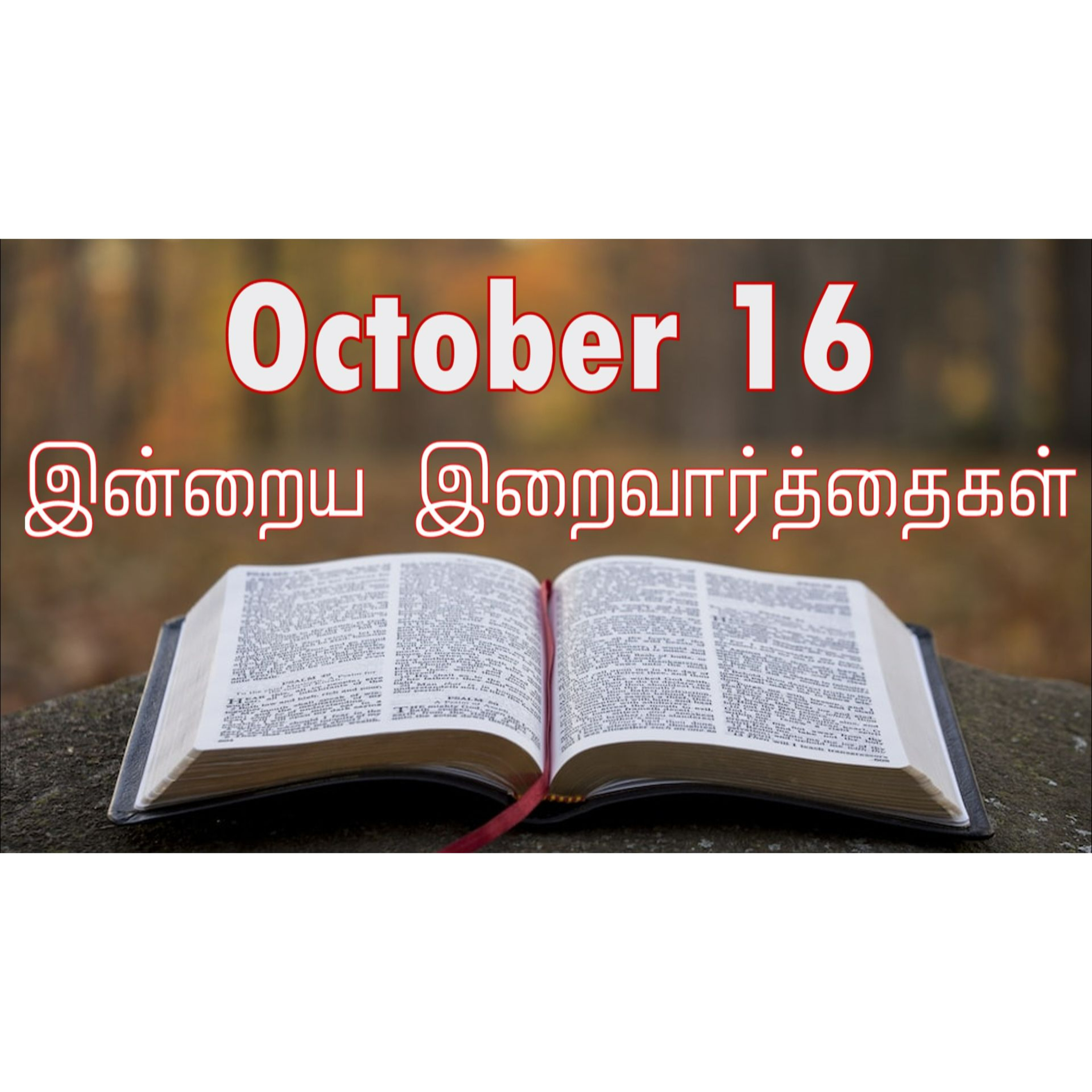 16 October 2024 | இன்றைய திருப்பலி வாசகங்கள் | Holy Mass Readings Tamil | Catholic | Daily Bible Reading Tamil episode artwork