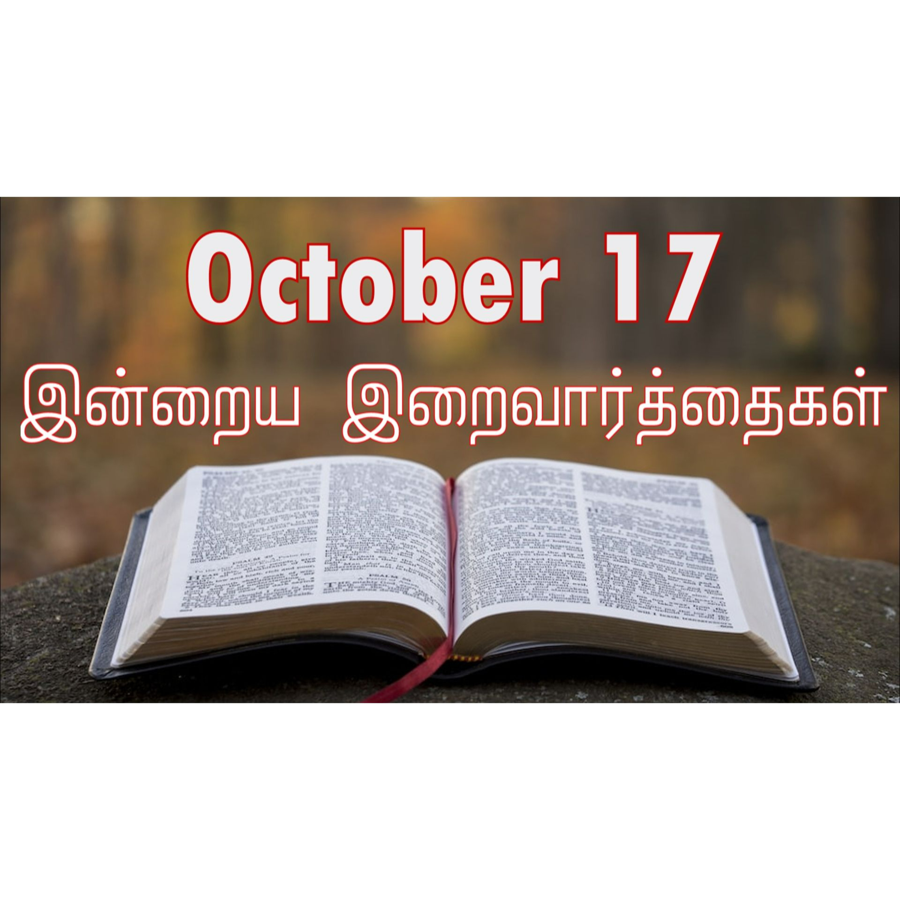 17 October 2024 | இன்றைய திருப்பலி வாசகங்கள் | Holy Mass Readings Tamil | Catholic | Daily Bible Reading Tamil | episode artwork